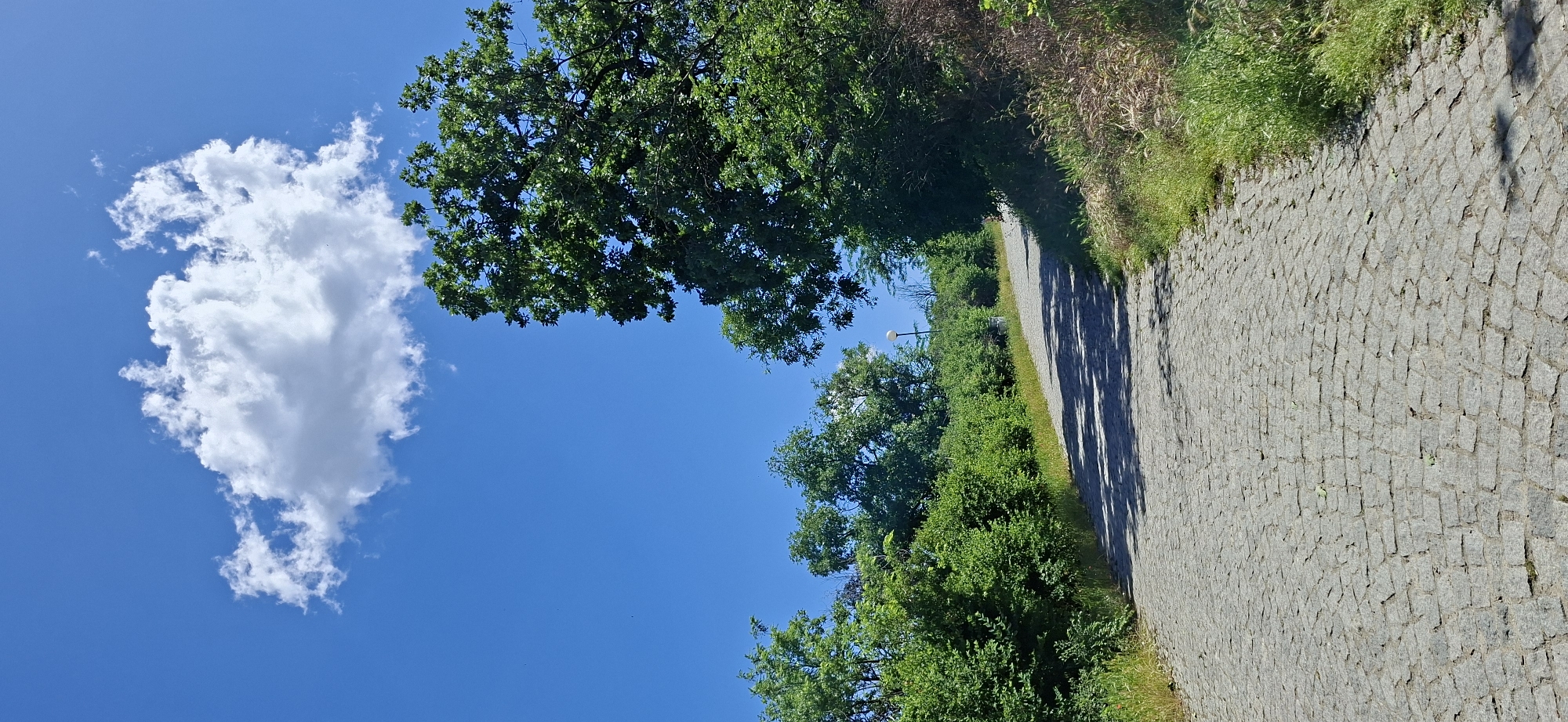 A sunny day in Plovdiv, Bulgaria. A stone paved path leads away into the distance, lined with grass and trees. In the bright blue sky, a large white cloud is visible. A street lamp is situated further down the path, between the trees. No people are visible.