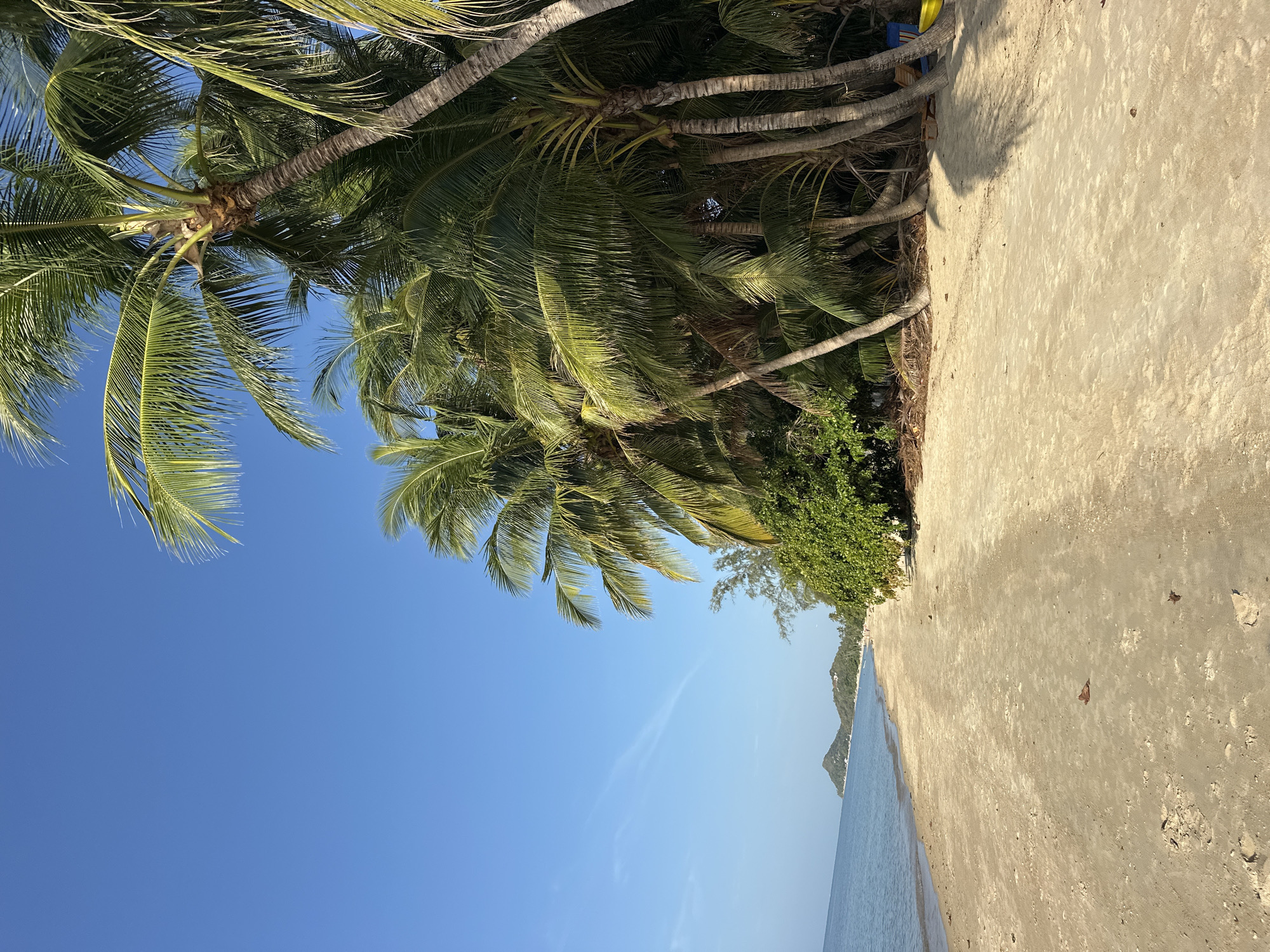 The image depicts a tropical beach scene in the Ko Samui District of Thailand. A clear blue sky stretches across the top of the frame, with a few wispy clouds on the left side. Lush green palm trees line the right side of the beach, casting shadows on the sand. The sand itself is light brown and appears to be mostly dry, with some debris such as dry leaves scattered on its surface.
To the left, the calm, blue ocean gently laps at the shore. In the distance, along the coastline, there are two distinctive green, tree-covered hills. The beach appears relatively uncrowded, with a few scattered small figures visible in the far distance, suggesting people are present but not in large numbers. Some beach furniture, including a yellow bucket and a blue chair, are visible amongst the palm trees on the right side of the frame. The overall impression is one of a serene and sunny day at a tropical beach.