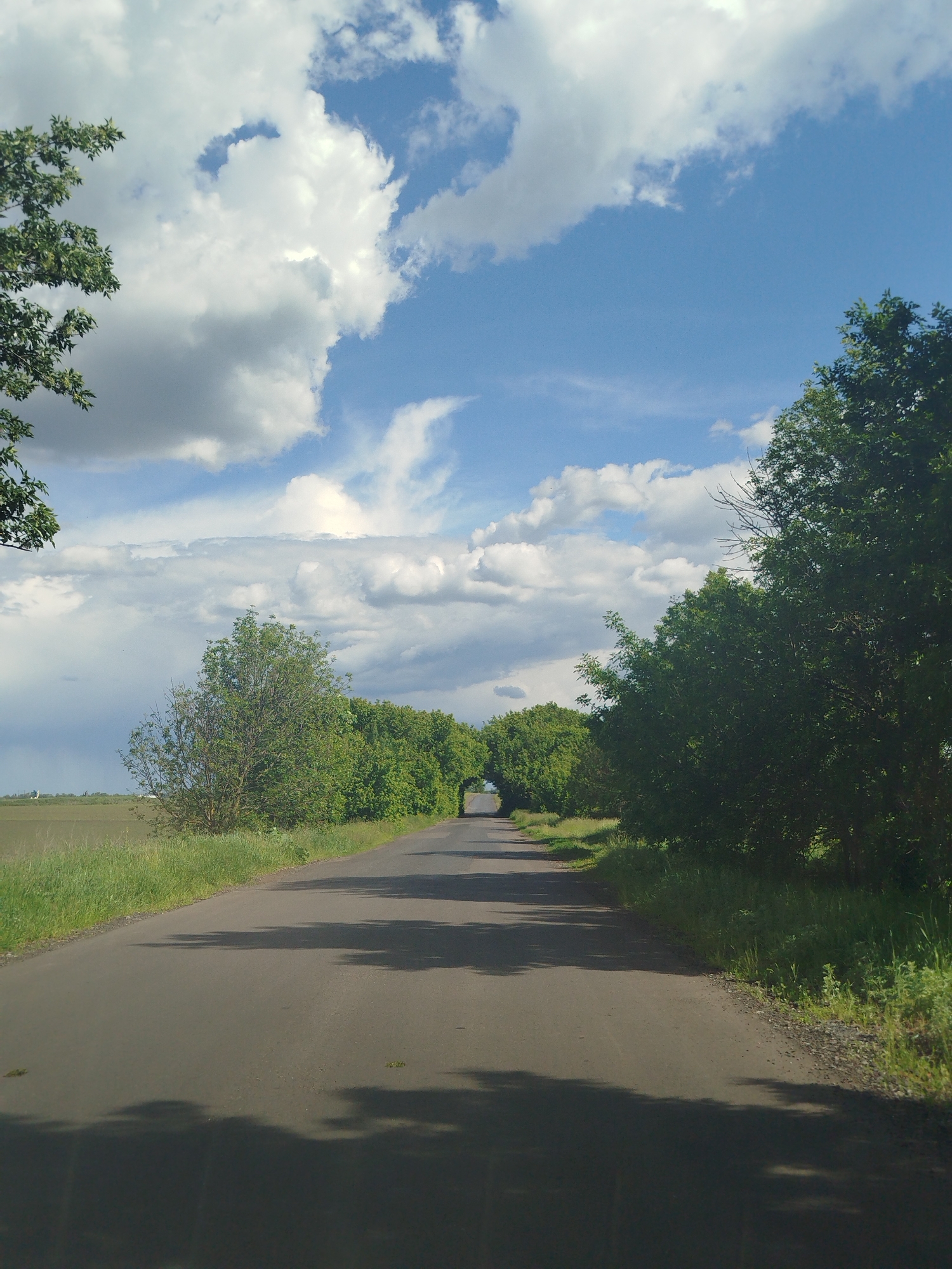 The image depicts a straight asphalt road in Ruda, Ukraine, leading into the distance. The road is flanked by green trees and vegetation on both sides, forming a sort of natural tunnel near the vanishing point. The sky is partially cloudy, with a mix of blue sky and large white cumulus clouds. A field can be seen to the left, beyond the trees. There are shadows cast on the road. No people are visible.