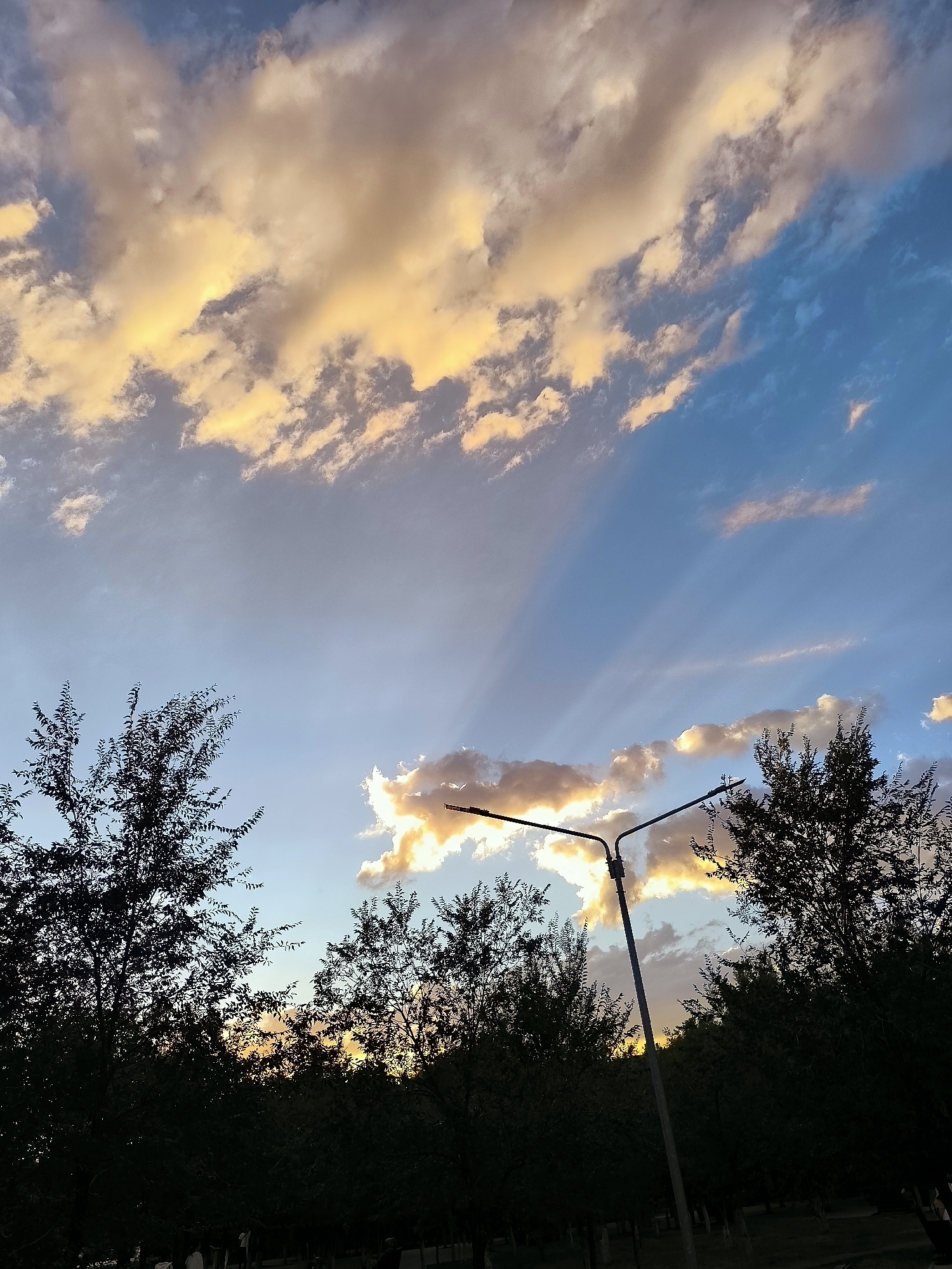 A low-angle, full shot captures a striking sunset over a city park in Qarağandı, Kazakhstan. The sky is a canvas of blues and oranges, with dramatic crepuscular rays fanning out from behind a line of clouds illuminated by the setting sun. Silhouetted trees with fine, dense foliage line the bottom of the frame, their dark forms contrasting sharply with the vibrant sky. A tall street lamp with two arms stands prominently in the mid-ground, also silhouetted against the colorful sky. In the far distance, a hint of the city's administration buildings may be discerned through the trees, their forms obscured by the park's dense greenery. The foreground shows a dark ground, possibly a path or lawn, with faint figures of people visible at the very bottom edge of the frame, suggesting a public gathering or passage. The overall impression is one of natural beauty intersecting with urban infrastructure at the close of day.