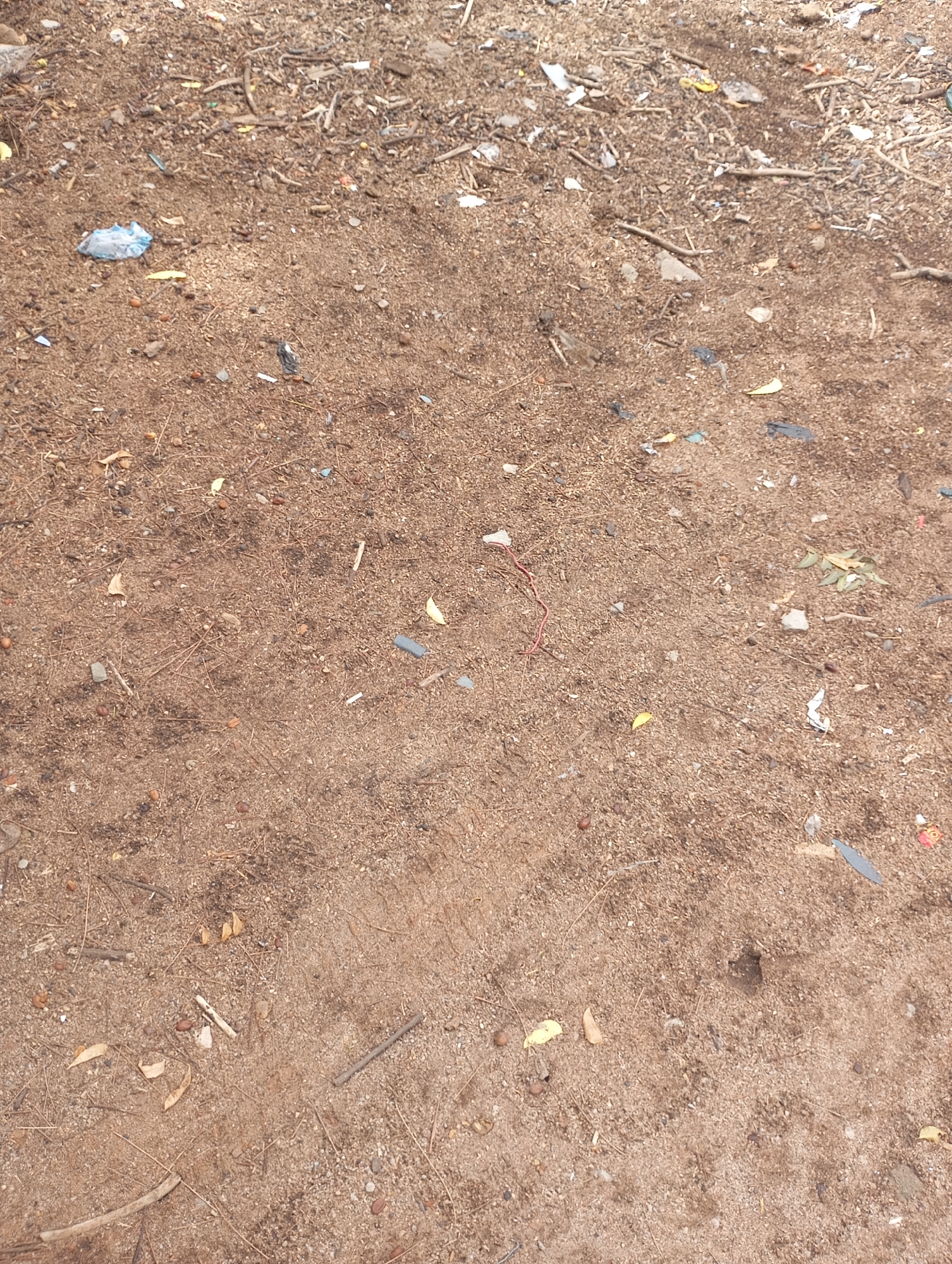 The image depicts a patch of reddish-brown earth, likely in Wukari, Nigeria, judging from the prompt. The ground is covered with scattered debris, including small twigs, leaves, and bits of plastic litter. There is also a tire track visible, suggesting vehicular activity. There are no people in the image, but the presence of litter and tire tracks indicates human activity in the area. The environment appears arid, and the earth is dry.