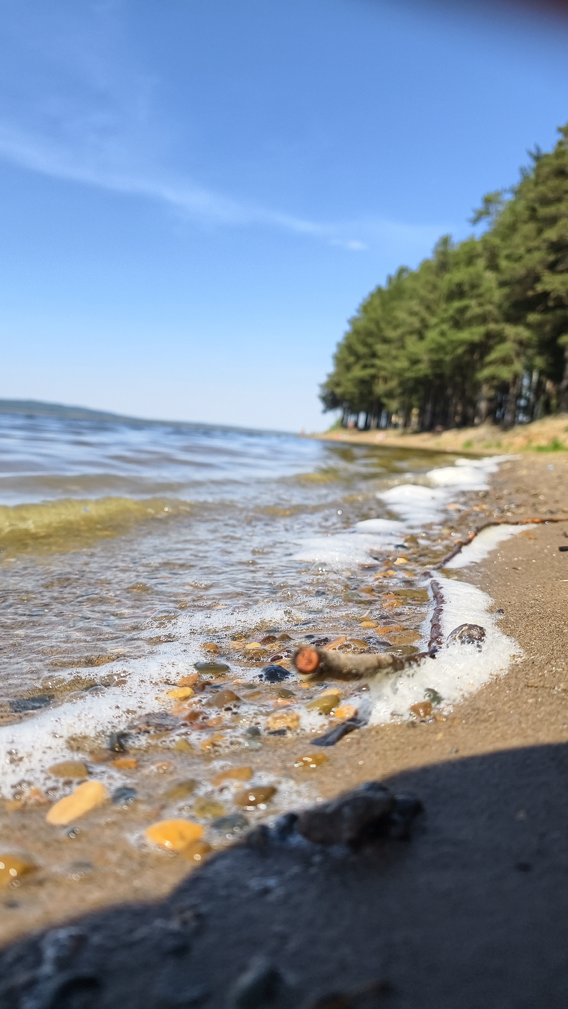 The image shows a close-up view of a shoreline, with water lapping onto a sandy beach mixed with pebbles. A small piece of driftwood lies partially submerged in the water and sand. The water is clear but slightly tinted yellow. Foam is present at the edge of the water. In the background, a line of evergreen trees is visible along the shoreline. The sky is blue with a few wispy clouds.
The location is in the city of Chaikovsky, Russia.