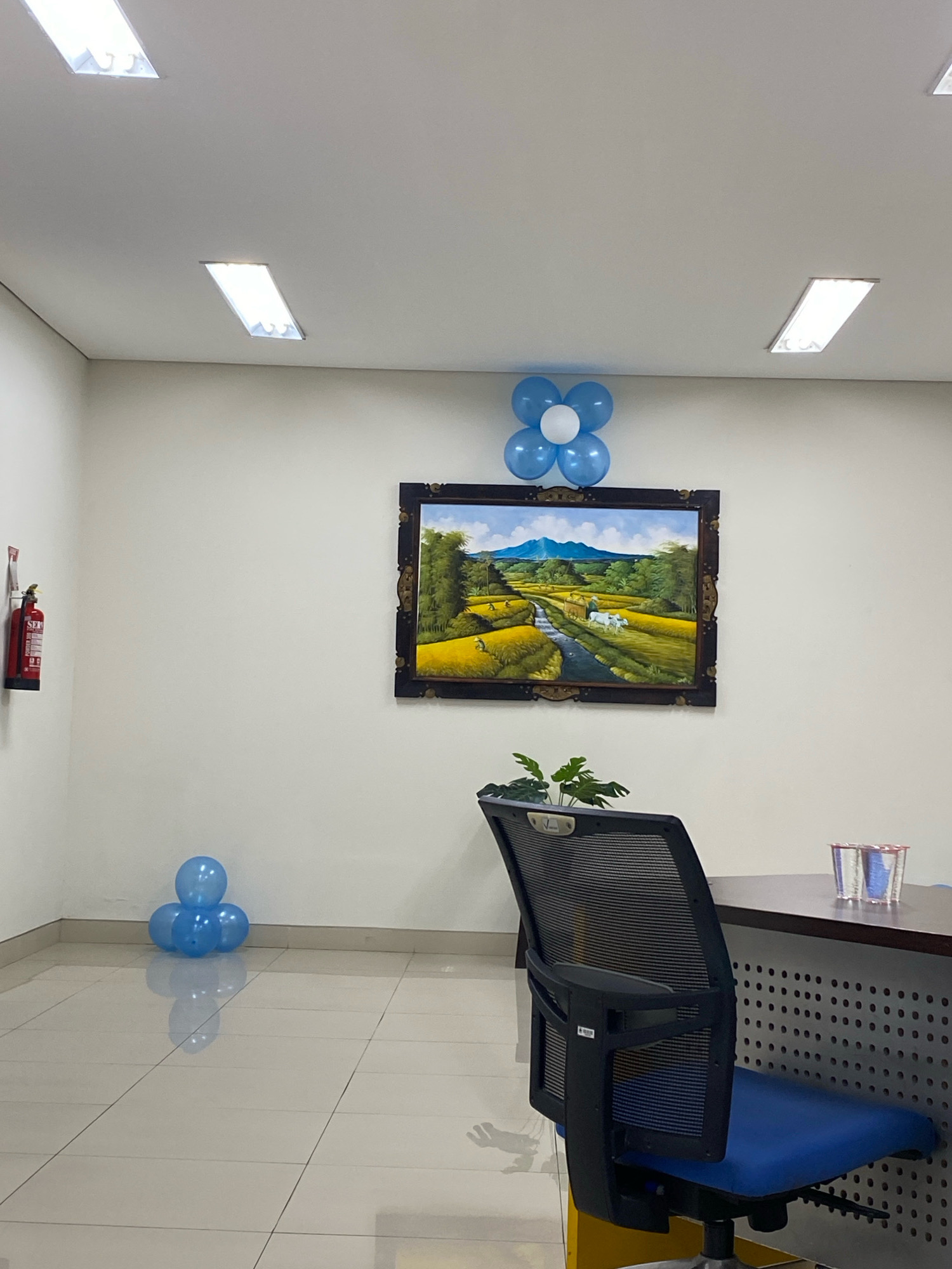 The image depicts an indoor scene, likely an office space, with bright white walls and tiled flooring. Two rectangular fluorescent light fixtures are visible on the ceiling. In the upper center of the wall, a framed painting of a landscape with rice paddies, a river, mountains, and cattle is displayed. Above the painting, a cluster of light blue and white balloons are arranged in a flower-like shape. To the left of the painting, a red fire extinguisher is mounted on the wall. In the foreground, a black office chair with a blue seat is positioned in front of a dark wooden desk. Two clear cups filled with blue liquid are on the desk. On the floor to the left, a small cluster of blue balloons is arranged. The scene is brightly lit, suggesting daytime interior lighting. The specific location in Kendari, Indonesia, is not identifiable from the visual information provided.