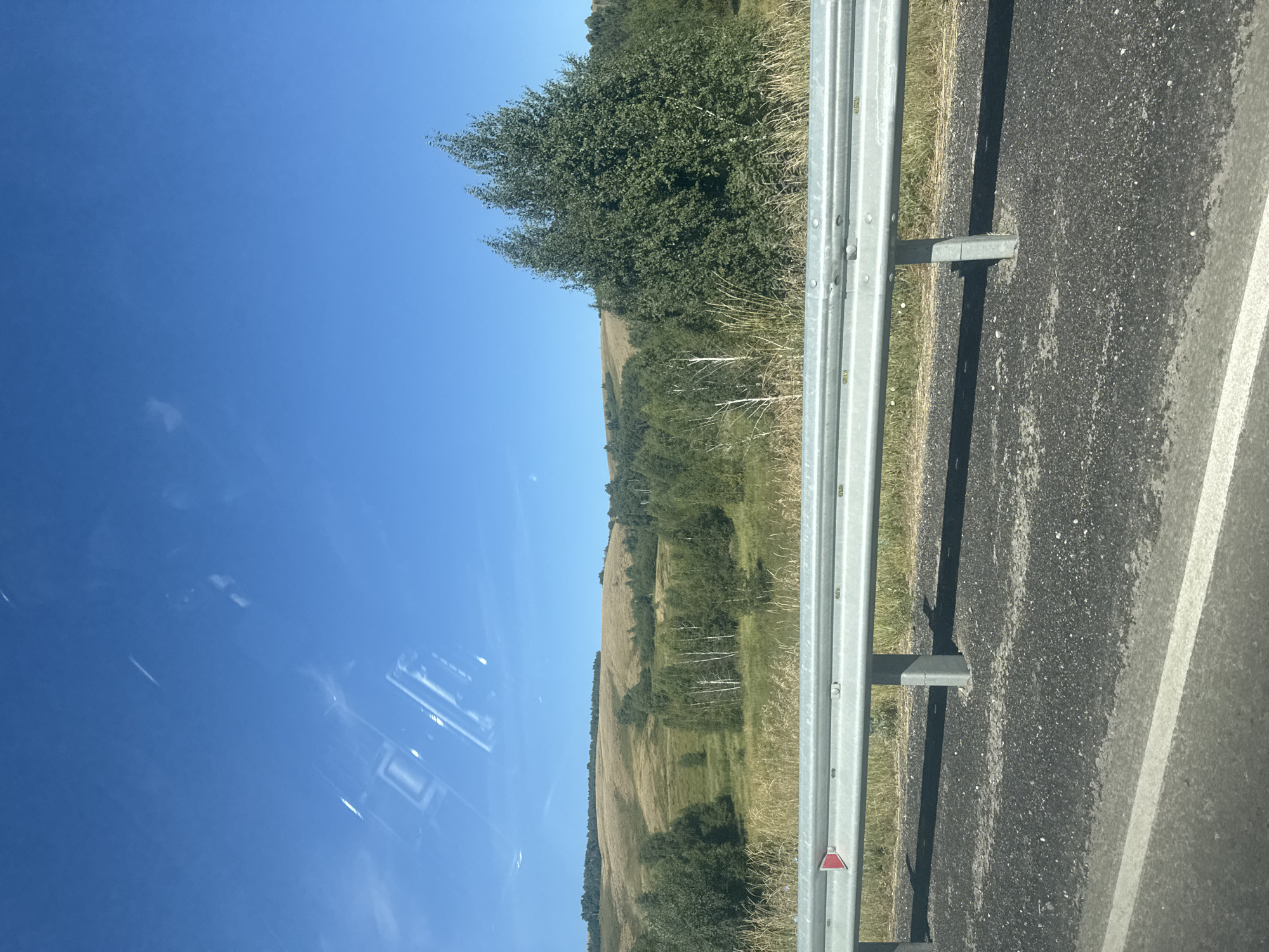 The image depicts a rural landscape under a clear blue sky. In the foreground, a metal guardrail runs horizontally across the frame, supported by vertical posts embedded in the asphalt of a road. The road surface is dark, with a white line marking its edge. Beyond the guardrail, a grassy field slopes upwards, dotted with trees and patches of dry grass. In the middle ground, a dense cluster of green trees, including some with white trunks that appear to be birch trees, stands out against the lighter-colored hills in the background. The hills themselves are covered in vegetation, with a band of darker green trees forming a treeline along the horizon. The sky is a vibrant blue with a few faint wisps of clouds. The overall impression is one of a serene, natural environment, likely taken from a moving vehicle on a sunny day, possibly near the city of Khasanovo, Russia. There are no people or animals visible in the image.