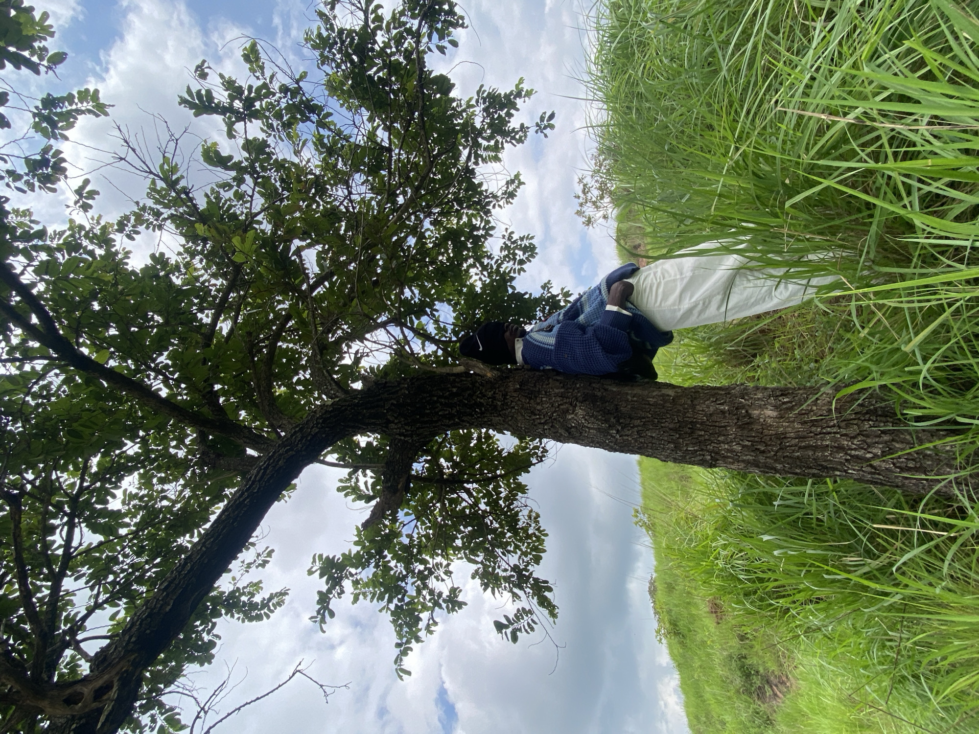 A person leans against a tree trunk, embracing it with their arms. They are wearing a dark beanie, a blue knitted sweater with a patterned design, and white pants. The person is positioned on a grassy slope with tall, green grass surrounding them. Above, the branches of the tree are covered in leaves, and the sky is visible with scattered white clouds. The scene appears to be outdoors, in a rural or natural setting, potentially in Ebuwana, Nigeria. The overall impression is one of solitude and connection with nature.