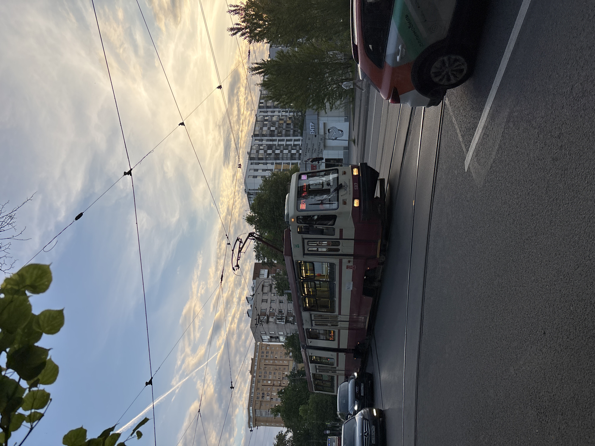 The image captures an urban street scene during what appears to be golden hour, late afternoon or early evening, with warm light illuminating a partially cloudy sky. The perspective is slightly elevated, looking across a wide street.
The primary subject is a tram, painted off-white with red accents, numbered "5317" on its front. It appears to be either stationary or moving slowly on its tracks, which run down the center of the road. Inside the tram, lights are on, and a digital display shows red text, likely route information. Overhead power lines for the tram span across the sky.
To the right of the tram, several cars are visible on the asphalt road. Closest to the viewer, a partially cropped orange or red car, possibly a Skoda Kodiaq, is parked or driving, displaying a green logo and text that reads "ЯНДЕКС.ДРАЙВ" (Yandex.Drive), indicating a car-sharing service. Further down the street, several dark-colored sedans or SUVs are also present.
In the background, a street lined with multi-story buildings stretches into the distance. One building has a modern facade with numerous windows. Signs on buildings feature Cyrillic text: "ЭНТР" and "СТРОЙ" are visible on one white sign, while another white sign with a grey border lists "ГОРЬКОВСКАЯ", "ПЕТРОГРАДСКАЯ", and "СПОРТИВНАЯ," which are names of metro stations in Saint Petersburg. Green trees are interspersed among the buildings and also partially frame the left side of the image with visible leaves and branches.
The sky is a mix of clear blue and scattered, wispy clouds that are warmly lit by the low sun, creating a soft, diffused glow. The overall scene depicts a typical, busy street environment in Saint Petersburg, Russia, with public transport and general traffic.