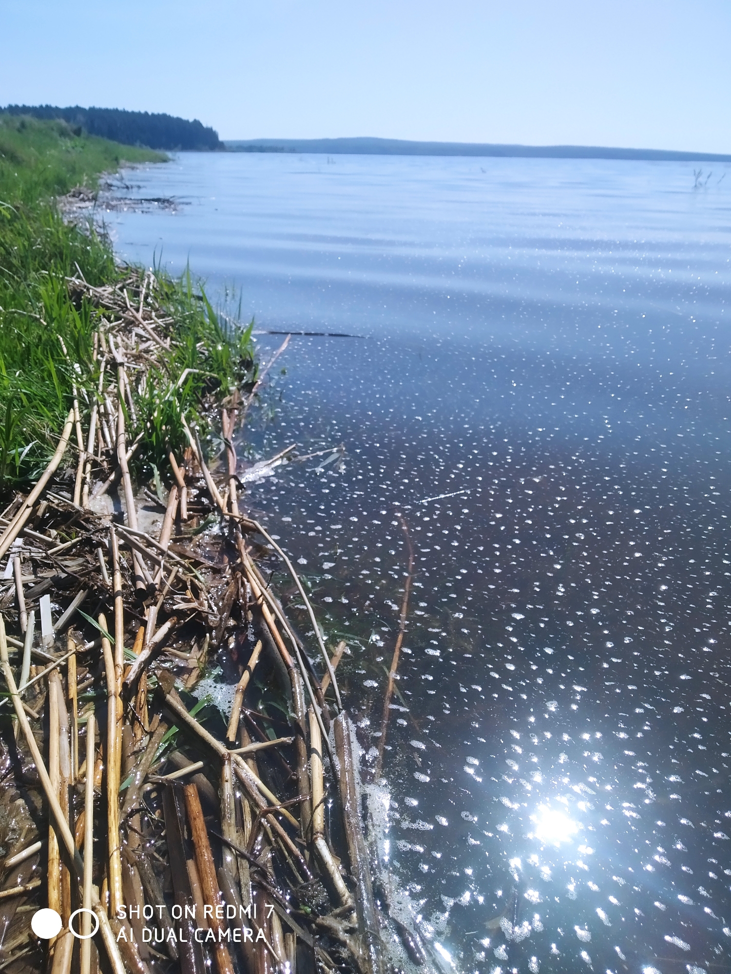 The image shows a body of water with a grassy shoreline. The water appears to be slightly choppy with many small bubbles visible on the surface. Sunlight is reflecting off the water, creating a bright glare. The shoreline is covered with grass and dried reeds. In the distance, a treeline is visible against a clear blue sky. The location is the city of Okhansk, Russia, implied by a watermark.
