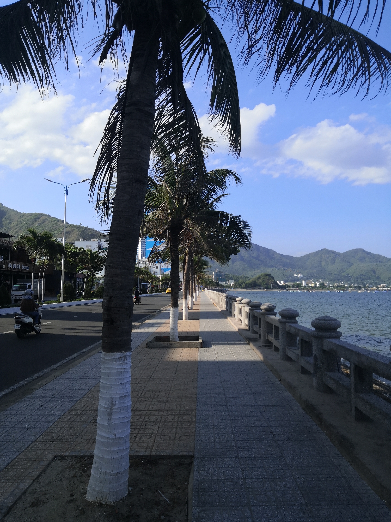 The image depicts a coastal scene in Bac Nha Trang Ward, Vietnam, under clear daylight with scattered clouds. A paved road runs from the lower left towards the distant right, bordered on its left by commercial buildings and lush green mountains in the background. A white scooter with a single rider wearing a helmet and dark clothing is visible on the road in the lower left, moving away from the viewer. Another scooter and a yellow vehicle are further down the road.
A row of palm trees separates the road from a pedestrian walkway. The trunks of these palm trees, including the prominent foreground tree, are painted white from the base upwards. The pedestrian walkway, paved with grey and light brown patterned tiles, extends parallel to the road and the coastline. A distinct shadow line bisects the walkway horizontally in the mid-ground.
To the right of the walkway, a grey stone balustrade with decorative posts separates it from the sea. The sea surface is mildly rippled. Numerous small boats are visible anchored in the bay in the middle distance. Across the bay, a settlement with various buildings is nestled at the foot of distant green mountains, which form the horizon. The sky is bright blue with scattered white cumulus clouds.