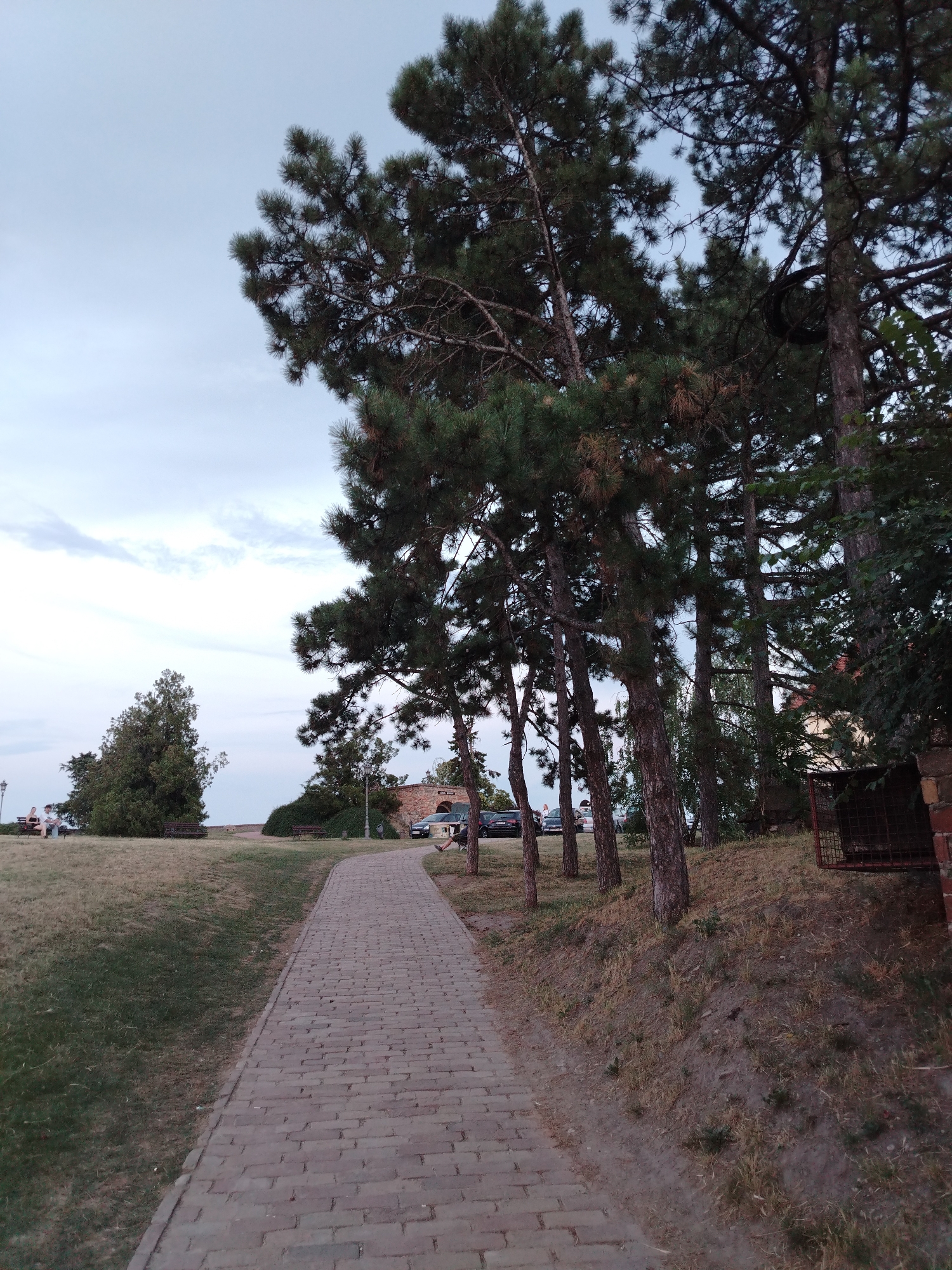 The image captures a paved walkway made of brick, curving through a park-like setting in Petrovaradin, Serbia. Several mature pine trees with dense green foliage flank the right side of the path, their trunks dark and textured. The ground on either side of the walkway is covered in dry grass and sparse vegetation, with a slight embankment visible to the right. In the background, a few cars are parked, and a brick structure, possibly part of a historical building, is partially visible. To the left, a grassy hill slopes upward, with two individuals sitting on a bench and another person standing nearby. The sky is overcast with pale clouds. The overall impression is a quiet, late afternoon or early evening scene in an outdoor public space.