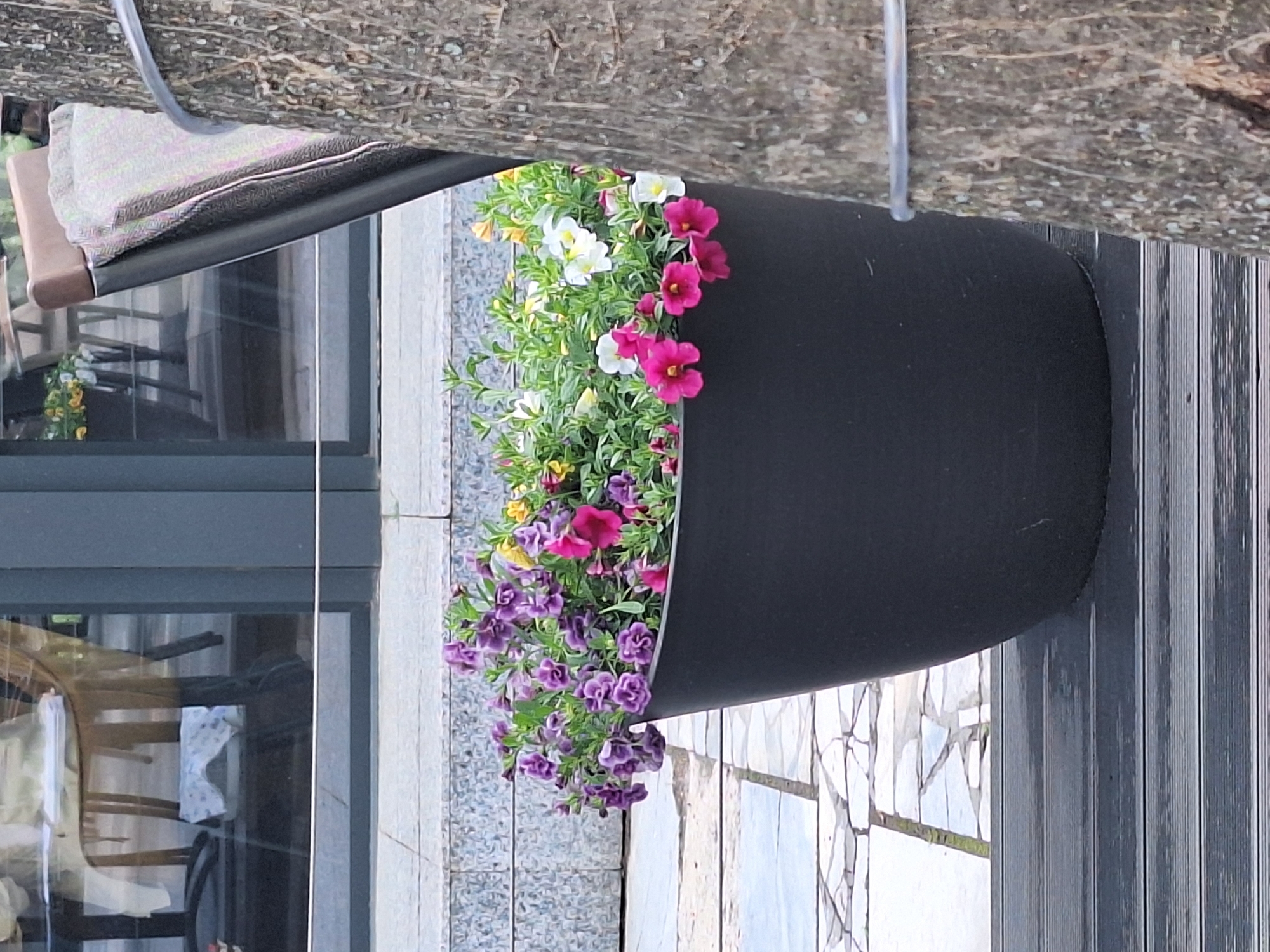 The image shows a black flower pot hanging from a structure. The pot is filled with colorful flowers, including white, pink, and purple varieties. The background includes a building with windows, a patio with tiled flooring, and a wooden structure. The exact location within Montana, Bulgaria is not discernible from the image.