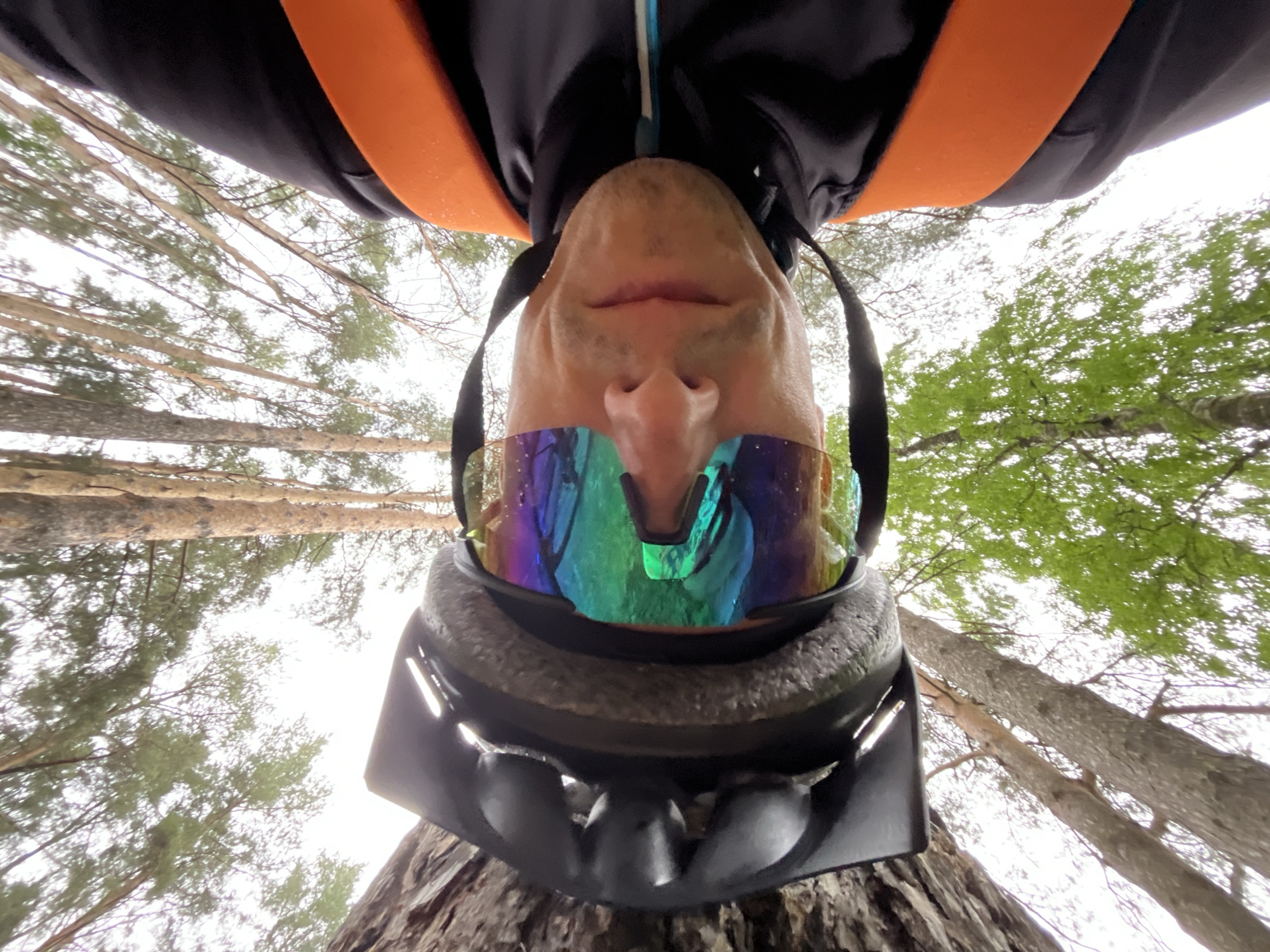 This low-angle, upside-down selfie captures a person in a forest in Chaikovsky, Russia. The subject is seen from below, wearing a black and orange athletic jacket, a black helmet with visible vents, and large, wrap-around iridescent reflective sunglasses. The sunglasses obscure the eyes, reflecting splashes of color, while the helmet partially covers the chin and jawline. The person's face appears upside down, with only the mouth and nose visible between the helmet and glasses.
The background features a dense canopy of tall trees against a bright, overcast sky. Some trees have slender, light brown trunks and sparse, needle-like foliage, characteristic of pine or fir. Other trees display lush, vibrant green leaves, suggesting a mixed forest environment. The soft, diffused lighting indicates it is daytime, likely under a cloudy sky. The unique perspective suggests the photo was taken with the camera positioned directly upwards from the ground, possibly while the subject was lying down or bending over. The attire hints at an outdoor activity such as cycling or hiking. No text is visible in the image.