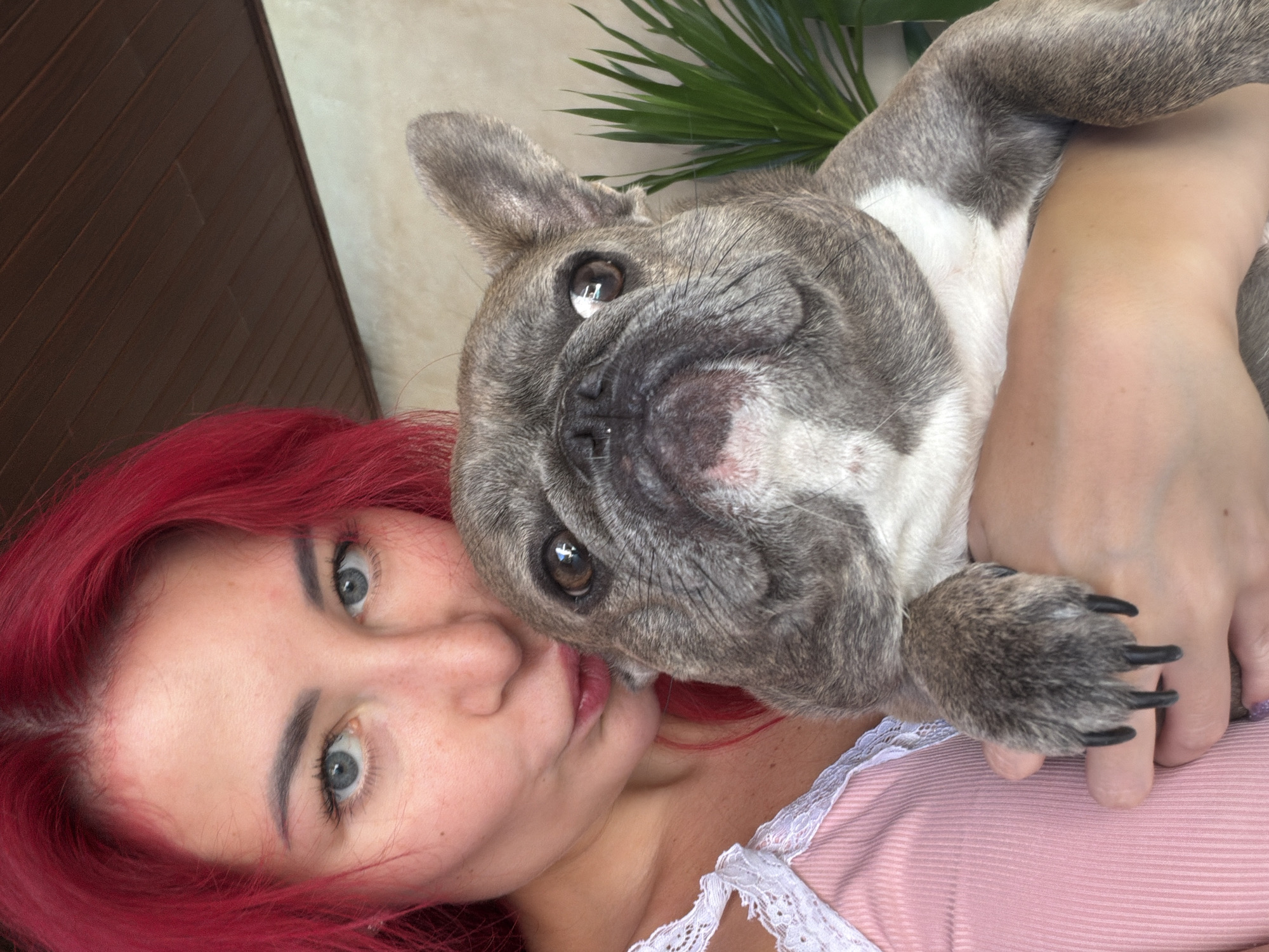 In Kuta, Indonesia, a person with vibrant red hair holds a French bulldog. The person is wearing a pink ribbed tank top with white lace trim. The dog, with grey and white fur, is looking directly at the camera. In the background, a potted plant with long green leaves is visible, along with a wooden ceiling. The scene appears to be indoors, possibly on a covered patio or balcony.