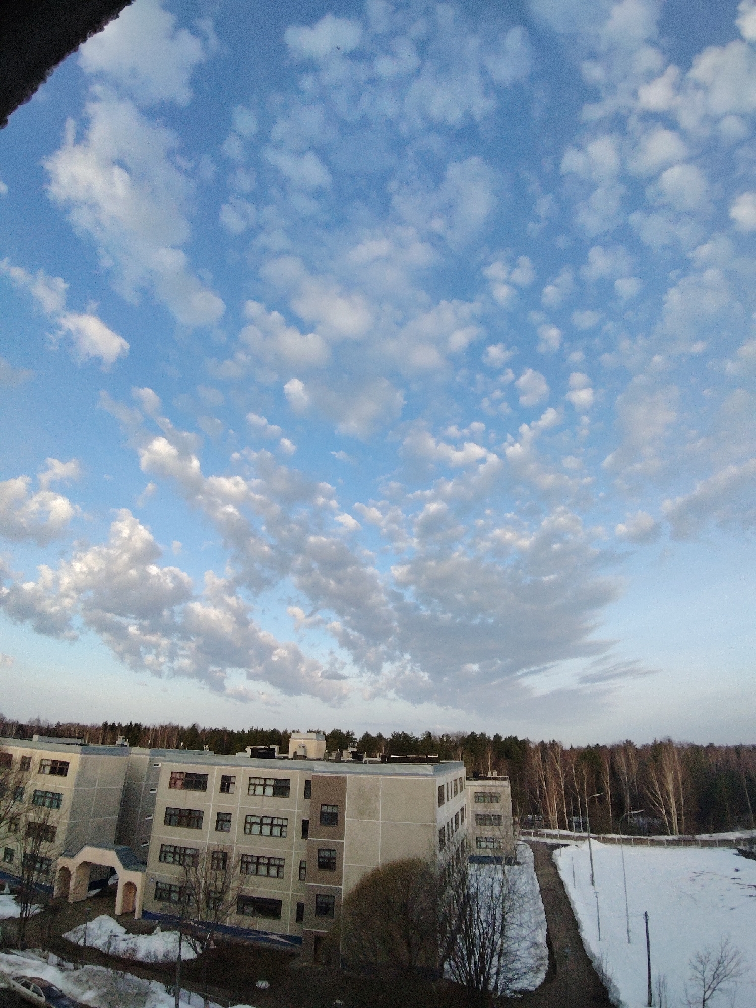 The image shows an outdoor view of the city of Марковский, Russia. A multi-story light-colored building occupies the mid-ground with several windows visible. The building appears to be surrounded by patches of snow, indicating a winter or early spring season. A line of bare trees forms the backdrop, suggesting a forest or park area behind the building. The sky above is a clear blue with scattered white clouds. The lighting suggests the photo was taken during the daytime.