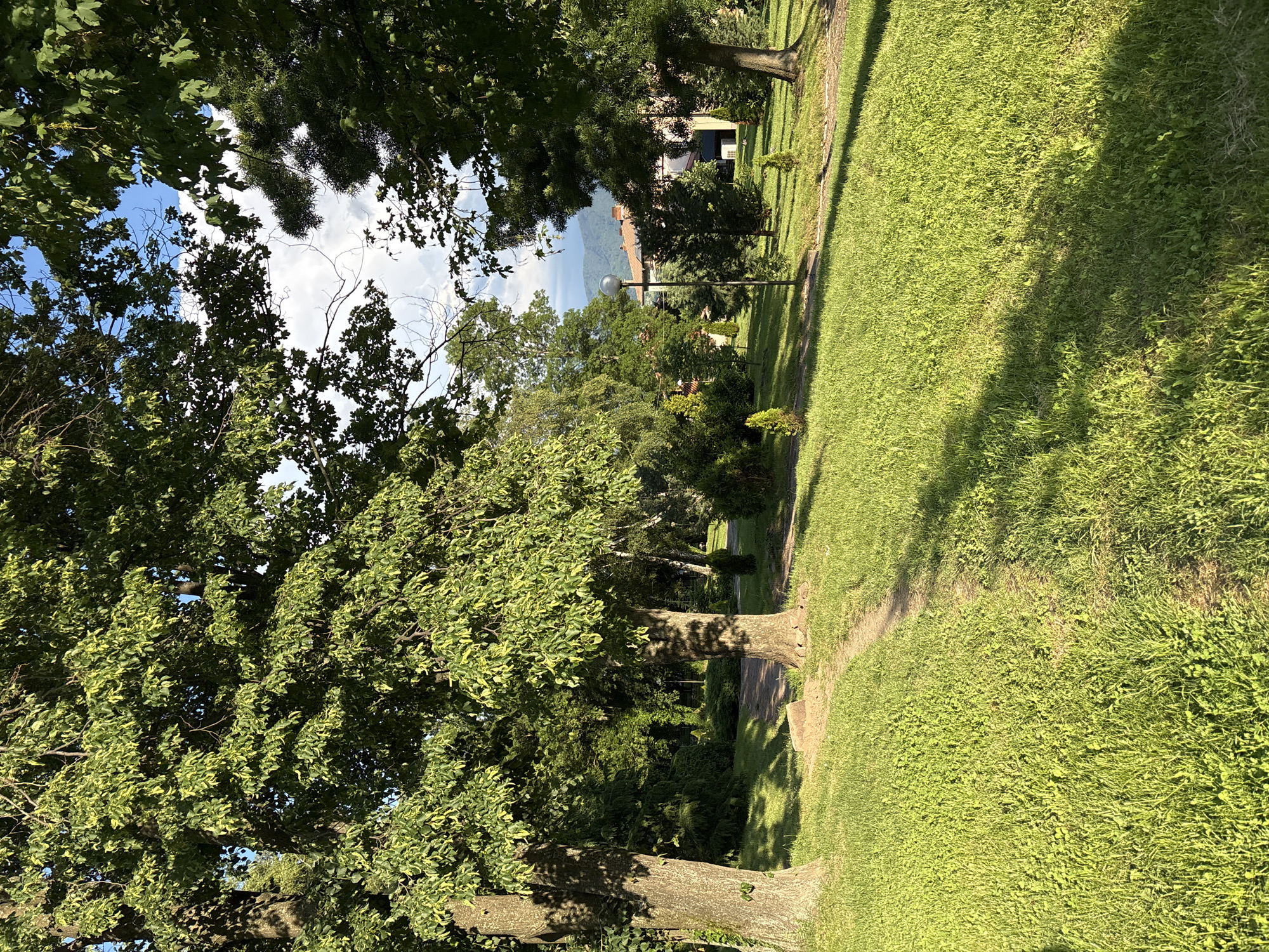 A sunlit park scene in Anton, Bulgaria, features lush green grass with a winding dirt path. Two large trees dominate the foreground, casting shadows on the lawn. In the background, several smaller evergreen trees and bushes are visible, along with a lamppost and a building with a red tile roof. Rolling hills under a bright blue sky with scattered clouds complete the serene environment.