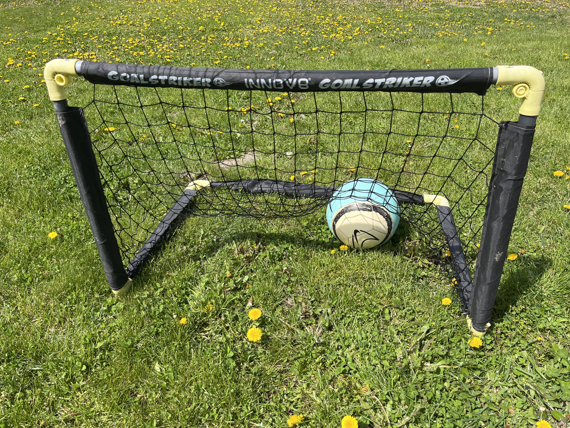 A soccer goal and soccer ball are situated in a grassy field dotted with dandelions. The goal frame is black with yellow plastic connectors and has a black net. The soccer ball, light blue and white, rests inside the net. The field appears to be outdoors in full sunlight. There is no information in the image identifying the location as Pchelnik, Bulgaria or any other place. There are no people in the image.