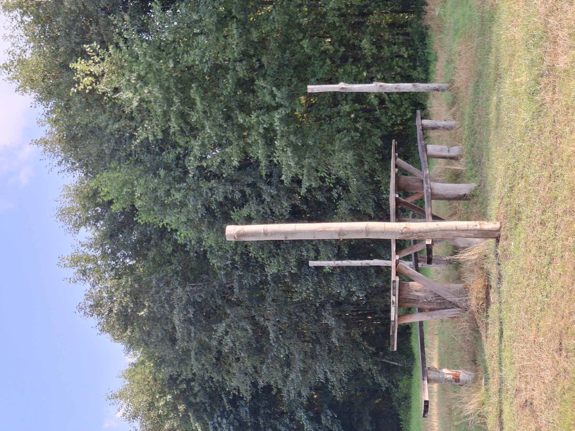 A rustic wooden picnic table with attached benches sits in a grassy clearing, framed by a dense, dark green forest. Two tall, rough-hewn wooden posts stand vertically in the foreground, one to the left of the table and one to the right. The table itself is made of rough-cut logs and planks, with a thick central trunk serving as its support. The benches are also constructed from similar materials, with log-like supports. The ground is covered in dry, brown grass mixed with patches of green. The sky above is a pale, clear blue with a hint of white cloud. The scene appears to be located in a natural, outdoor setting, potentially in the city of Plishkino, Russia, given the context. There are no people or animals visible in the image.