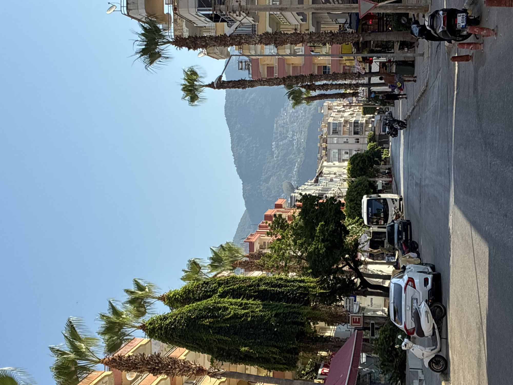 The image depicts a street scene in Alanya, Turkey, characterized by a clear blue sky and lush palm trees lining both sides of the asphalt road. Several multi-story buildings with balconies and varied architectural styles are visible. A white sedan, a white scooter, and a black motorcycle are parked along the street. A white bus with the word "TUISE" on it is driving down the road. Two men are walking on the sidewalk. In the background, a mountain range is visible. The scene appears to be a bright, sunny day.