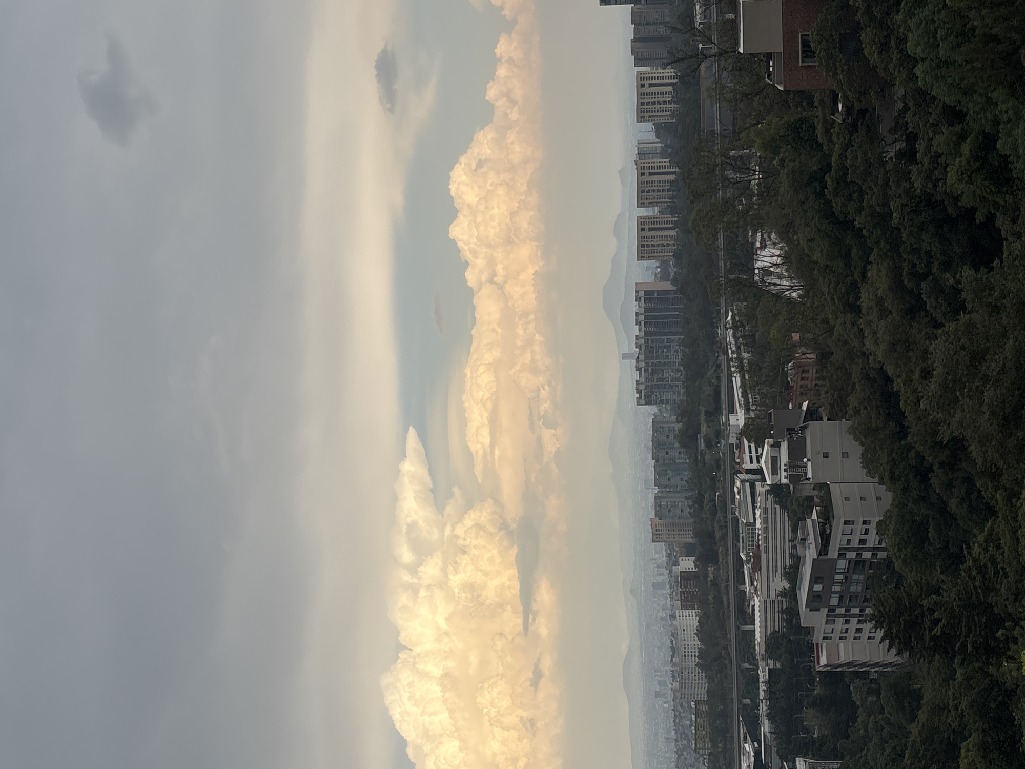 The image shows a cityscape view in Mexico City, Mexico, where tall buildings and residential structures are nestled between lines of lush green trees. The sky above is expansive, filled with a mix of grey clouds and bright, cumulonimbus clouds illuminated with a golden light, possibly from the setting sun. The city itself fades into the haze in the distance.