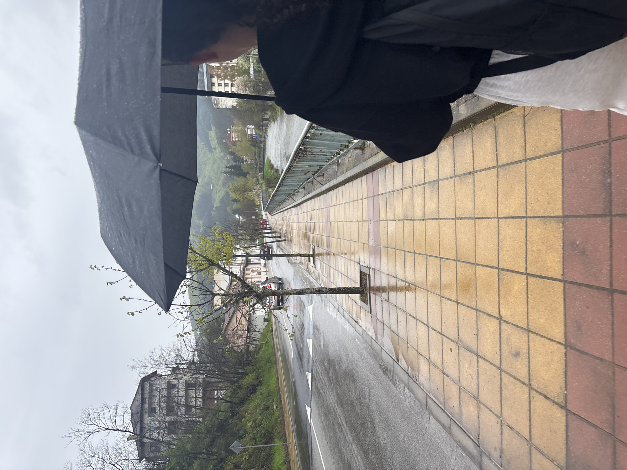 A person holds a black umbrella while standing on a tiled sidewalk next to a road on a rainy day in Zlatograd, Bulgaria. The road is lined with young trees planted in square openings. On the other side of the road is a grassy hill and buildings. The road leads to a bridge over a river, with buildings and mountains visible in the distance. The sky is overcast.