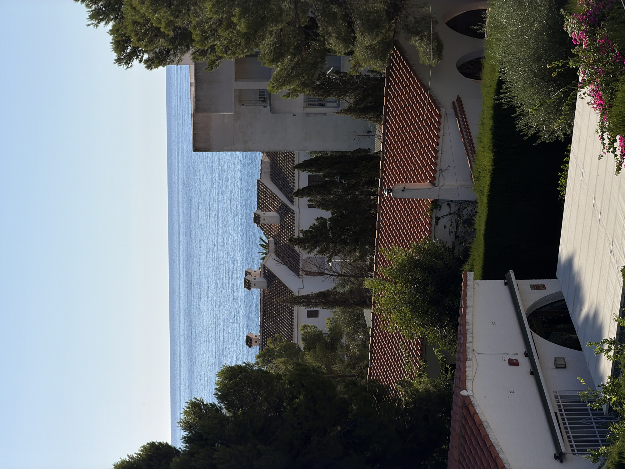 The image depicts a view overlooking the Mediterranean Sea from Alcalà de Xivert, Spain. In the foreground, there are several white buildings with red tile roofs, characteristic of Mediterranean architecture. Some of these buildings feature arched entrances and windows, and one has a white awning. To the right, lush green foliage and vibrant pink flowers are visible. In the middle ground, more white buildings with red tile roofs are nestled amongst tall evergreen trees. In the background, the calm, blue expanse of the sea stretches to the horizon under a clear, pale blue sky. A modern, light-colored multi-story building is also visible on the right side of the frame, partially obscured by trees. The overall scene conveys a sense of coastal tranquility and residential development.