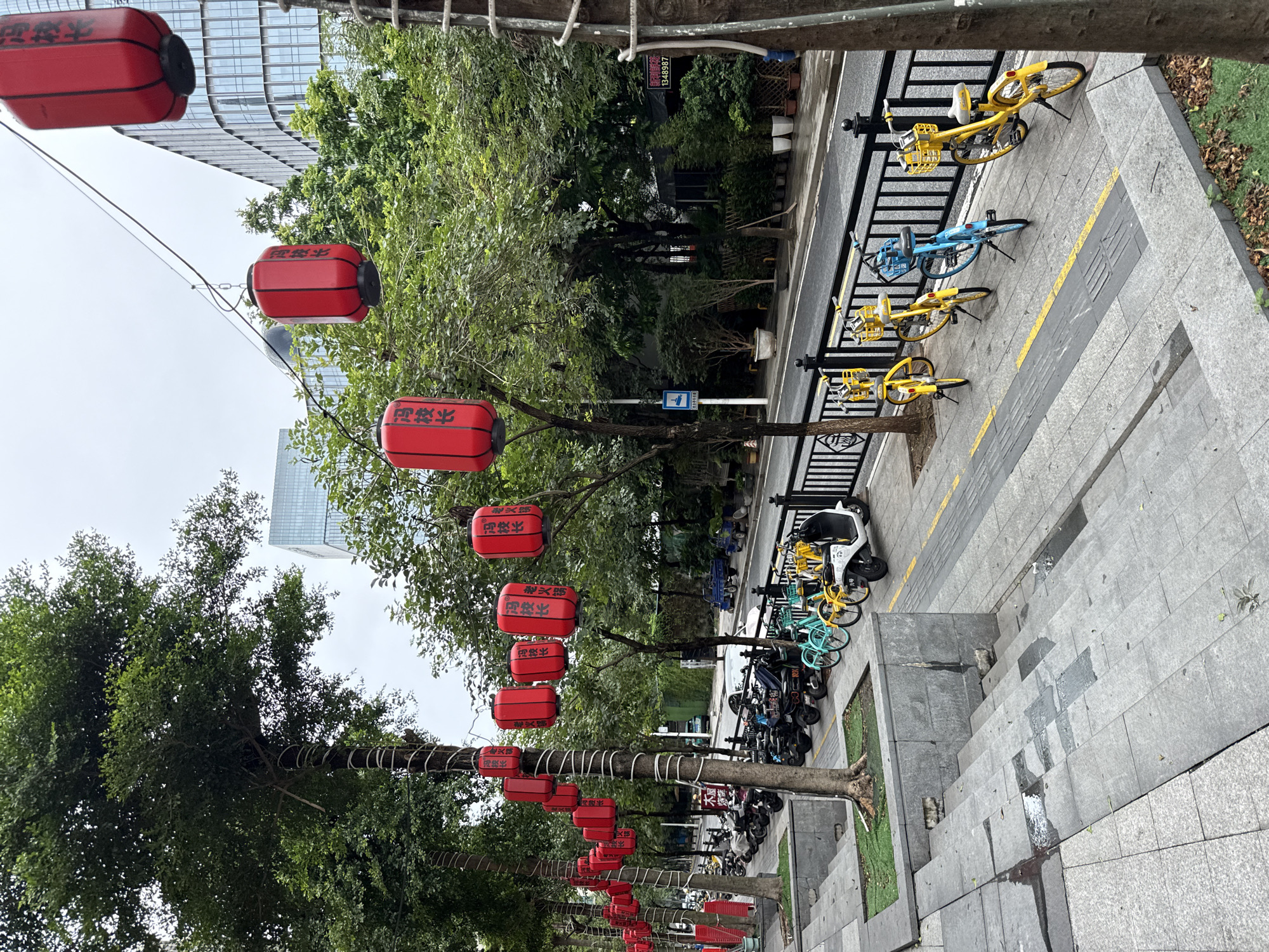 A street scene in Haizhu District, China, features a row of parked motorcycles and electric scooters on a sidewalk adjacent to a street. Red lanterns with Chinese characters hang suspended on wires above the sidewalk, and a line of rental bicycles, predominantly yellow with one blue bicycle, are also parked along the curb. Trees line the sidewalk, their trunks wrapped with white material in some instances. Buildings, including a modern high-rise with a glass facade, are visible in the background, interspersed with dense foliage. The ground is paved with gray tiles and concrete, with some areas showing wetness, suggesting recent rain. The sky is overcast, contributing to a muted lighting condition. No people are visible in the scene.
