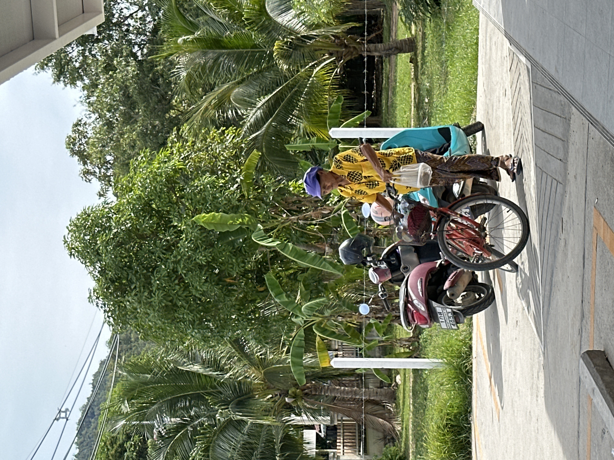 An elderly woman wearing a yellow patterned shirt and a purple hat stands outdoors in ตำบลเกาะพะงัน, Thailand, holding a plastic bag. She is next to a red bicycle with a basket in front and a blue scooter. Behind her, a red scooter is parked. The environment includes palm trees, banana trees, and a fence. The ground is paved with concrete and marked with yellow lines. The sky is partly cloudy.