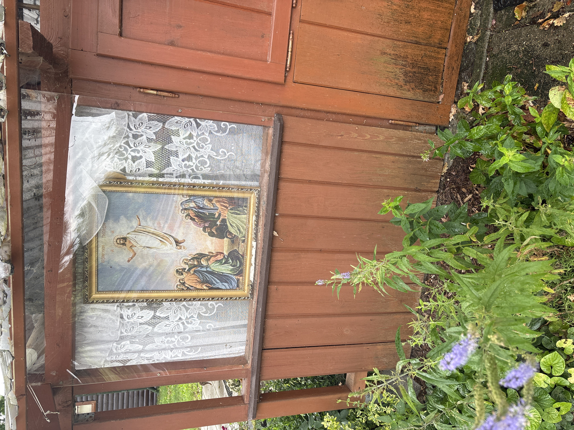 In Rybaki, Poland, an outdoor religious icon is displayed behind a clear plastic sheet, attached to the exterior of a wooden structure. The icon depicts Jesus Christ ascending into heaven, surrounded by a group of disciples. The icon is framed with a gold-colored border and hangs behind a white lace curtain. The wooden structure has a weathered, reddish-brown finish. Green foliage and some small purple flowers are growing in front of and around the base of the structure. The overall scene suggests a simple, rustic outdoor display of religious devotion.