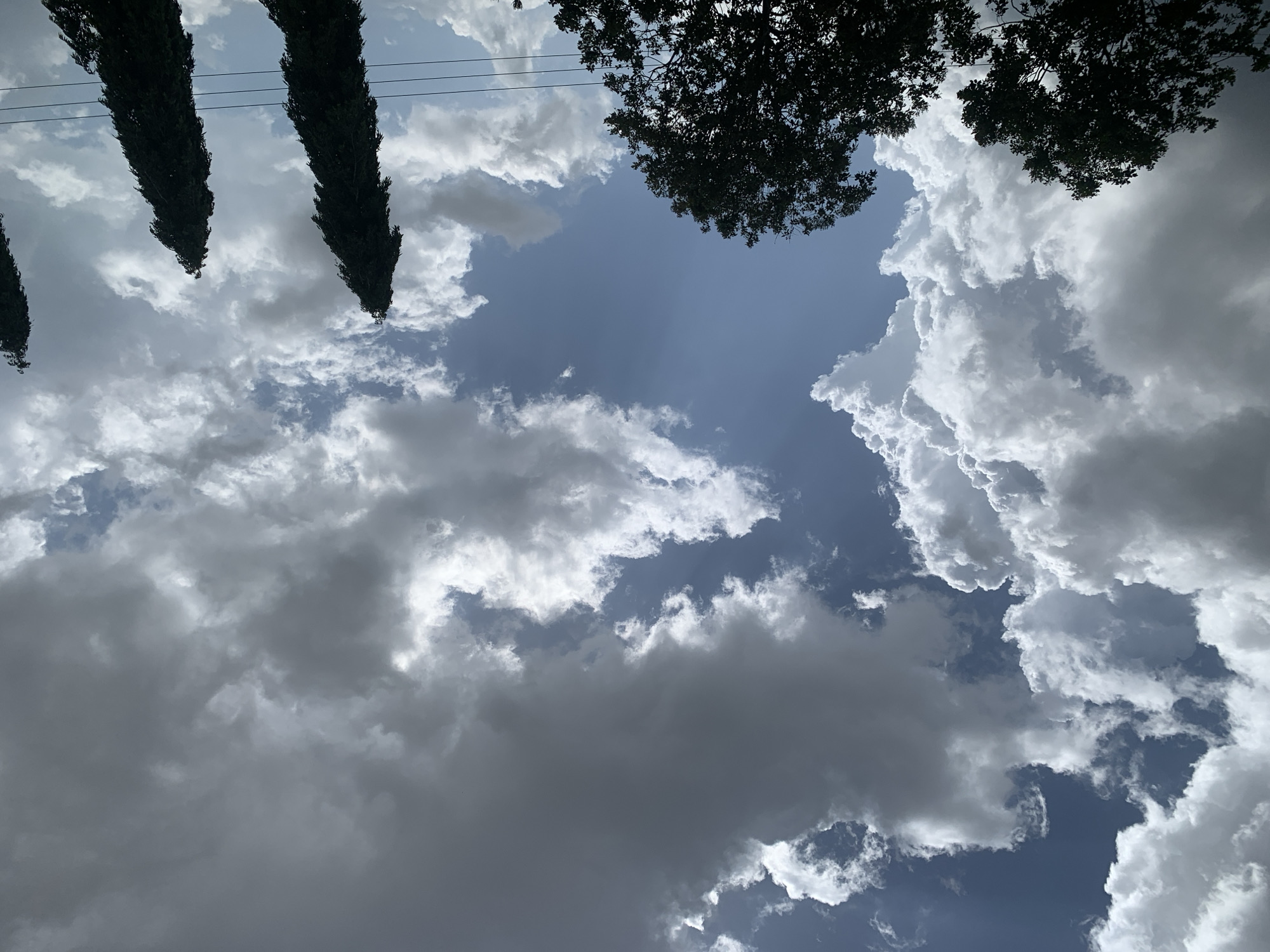 The image shows a cloudy sky above a semi-urban landscape. In the foreground, silhouetted trees with dark green foliage are visible at the bottom left and bottom center. To the right, two tall, slender trees with dark green foliage stand out against the sky, and a portion of a third similar tree is visible on the far right edge. A network of black electrical wires runs horizontally across the middle ground. The sky is filled with a mix of white and dark gray cumulus clouds, with patches of blue sky visible between them. The lighting suggests it is daytime, with the sun partially obscured by the clouds, creating a dramatic contrast between light and shadow. The scene is characteristic of Kuru Karama, Nigeria, a region known for its varying weather patterns and vegetation. There are no people or discernible actions in the image.
