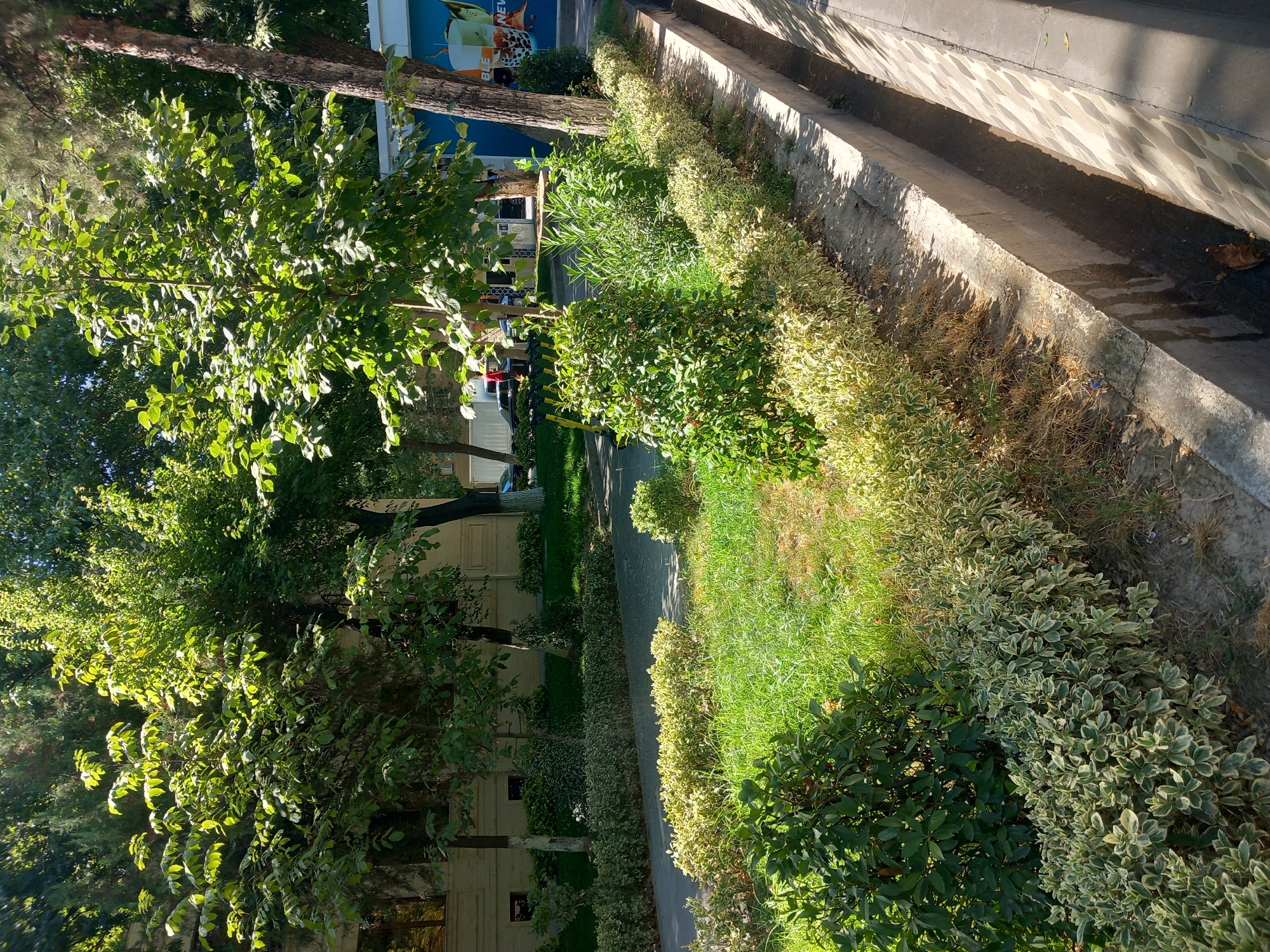 The image depicts a street scene in Samarkand City, Uzbekistan, on a sunny day. In the foreground, a paved pathway runs alongside a concrete drainage ditch, which appears to be dry with some debris at the bottom. A low hedge of variegated shrubs lines the pathway, with patches of dry grass and dirt between the hedge and the ditch. Behind the hedge, a strip of green grass is visible, with some scattered bushes.
Further back, a paved road or sidewalk is present, with parked electric scooters visible. Beyond the road, a building with a light-colored facade and dark windows stands, flanked by trees. Several trees with dense green foliage are scattered throughout the scene, casting shadows on the ground. In the background, a large blue building with colorful advertisements is partially visible, with more trees. The overall impression is one of a well-maintained urban green space. No people are clearly visible in the image, though their presence is implied by the parked scooters and the urban setting.