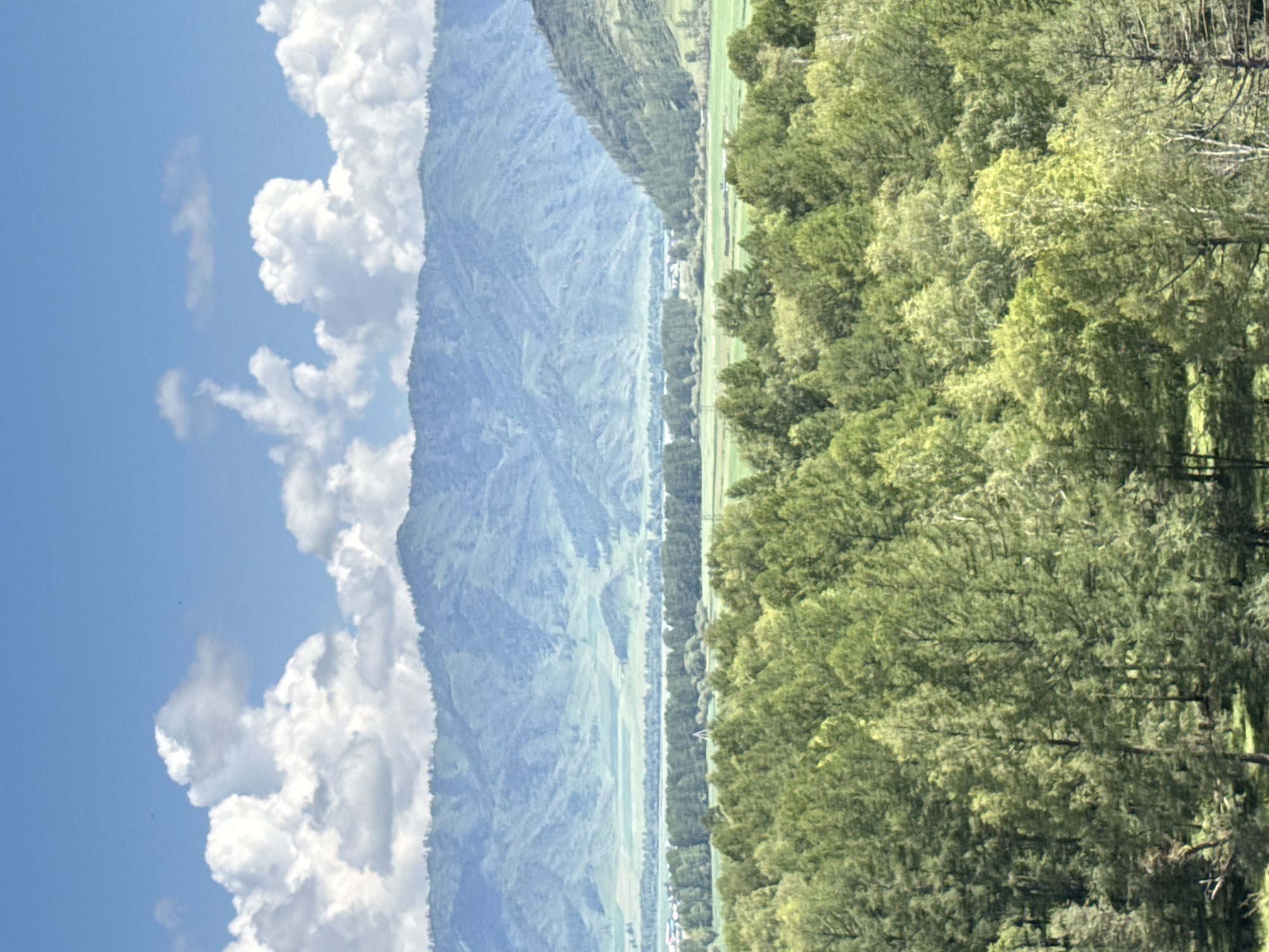 A high-angle, full shot captures a panoramic view of a natural landscape in Bichiktu-Boom, Russia. The sky is a clear blue, dotted with fluffy white clouds. In the foreground, a dense forest of green trees stretches across the frame, with varied shades of green indicating different tree types and light conditions. Beyond the forest, a wide expanse of green fields and distant, hazy blue mountains create layers of depth. The overall scene is serene and natural, with no visible people or man-made structures apart from what might be a very small, distant settlement.