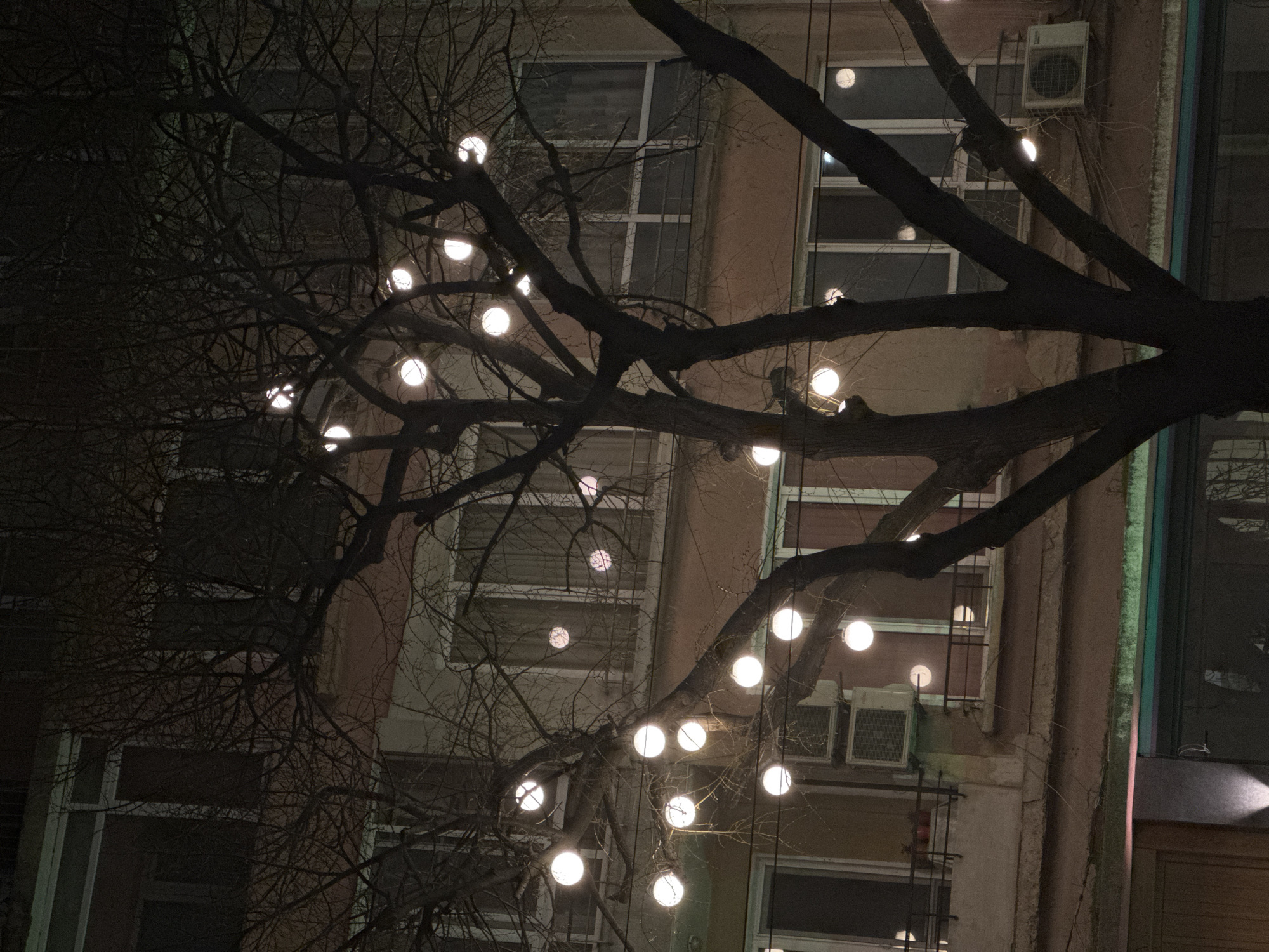 A nighttime scene in Varna, Bulgaria, shows a bare tree decorated with spherical lights. The tree branches are silhouetted against a backdrop of a multi-story building. The building features multiple windows with white frames, and air conditioning units are visible on the facade. The scene is dark, illuminated primarily by the tree lights and some ambient light from the building's windows.