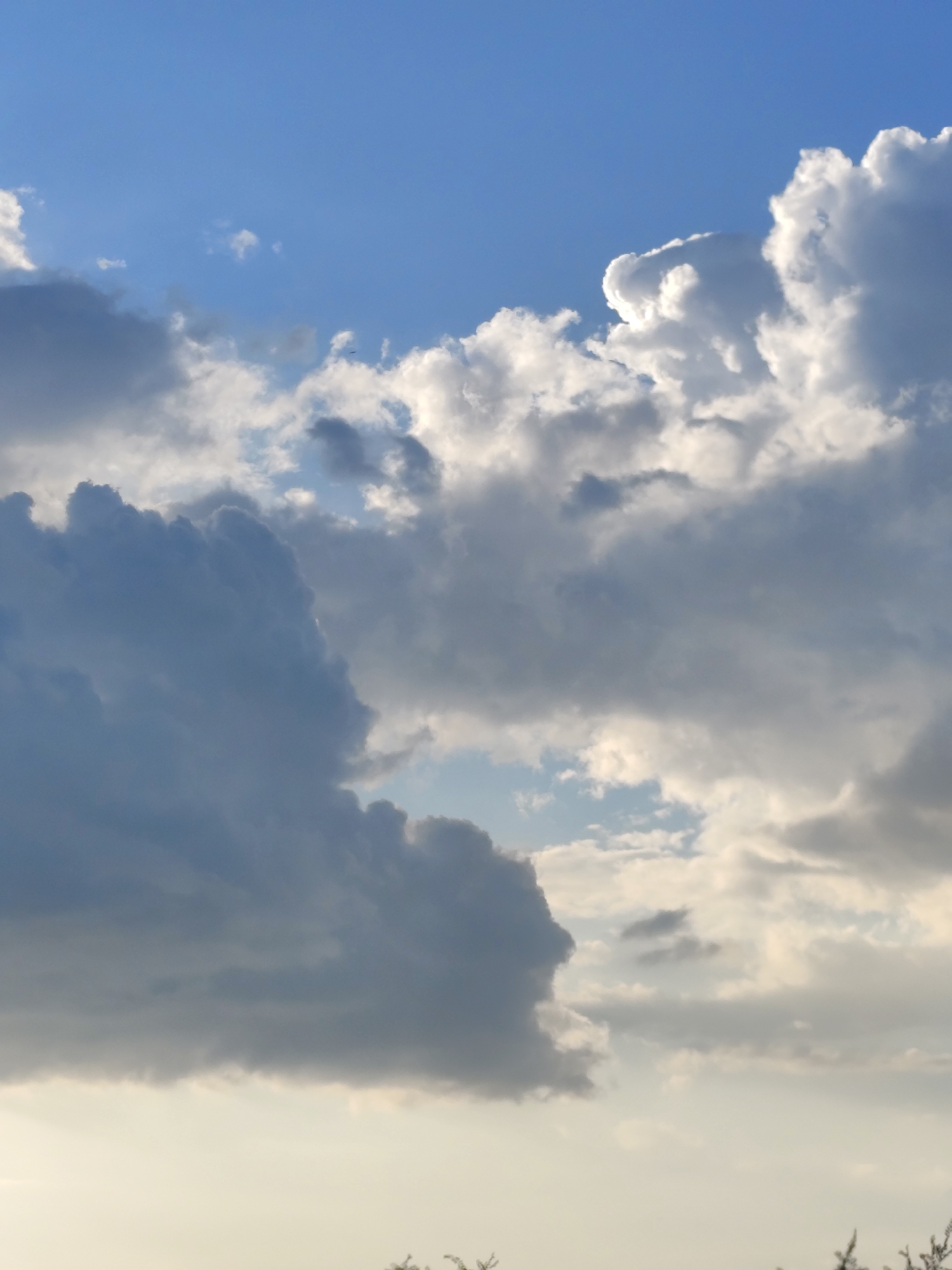 This is a vertical, low-angle shot of a sky filled with a mix of dark gray and bright white cumulus clouds against a vibrant blue sky. The lighting suggests it is either late afternoon or early morning, with the sun illuminating the edges of the clouds. The bottom of the frame shows a sliver of a pale, hazy horizon with faint dark shapes that could be distant trees or foliage. There are no people or discernible man-made structures visible in this image. The scene is entirely focused on the natural elements of the sky.