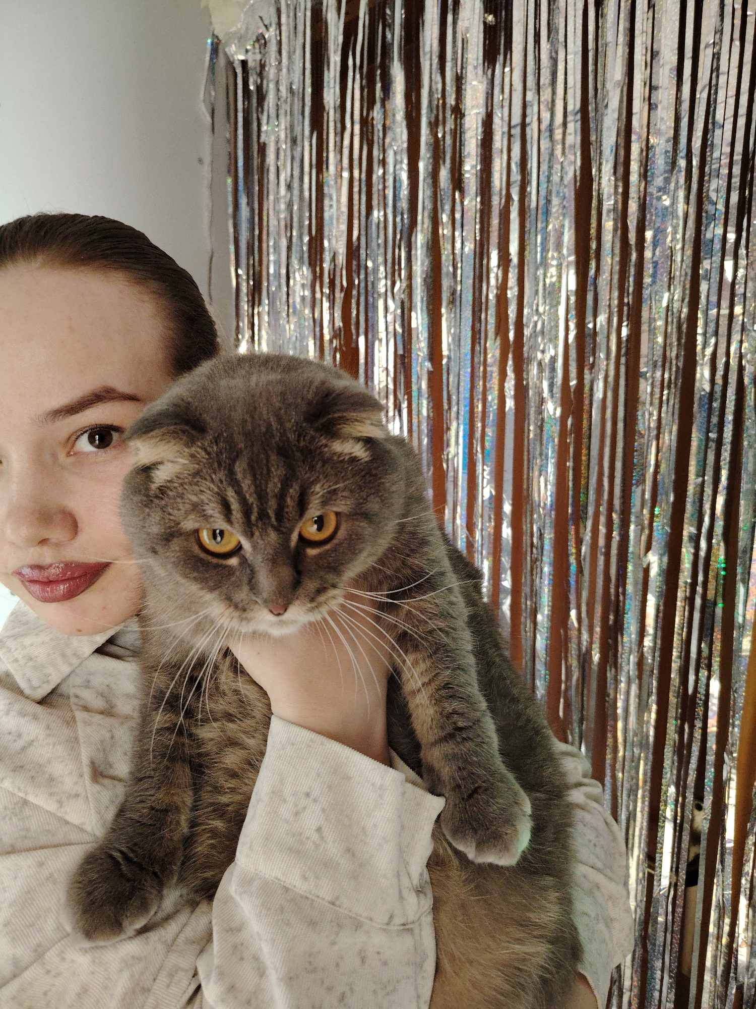 In Марковский, Russia, an indoor scene depicts a partial view of a light-skinned female subject holding a gray Scottish Fold cat. The female's right eye, nose, and mouth, with dark red glossy lipstick, are visible on the left side of the frame. Her dark hair is pulled back, and she wears a light, possibly beige, collared garment. She cradles the gray tabby-patterned cat, which has folded ears, bright amber-yellow eyes, and prominent white whiskers. The cat is facing slightly right, away from the viewer, while its body is supported by the female's arm, visible beneath its paws. The background features a full curtain of vertical, shimmering silver tinsel streamers, suggesting a celebratory or decorative setting. A plain white wall section is visible in the upper left corner, behind the female's head.