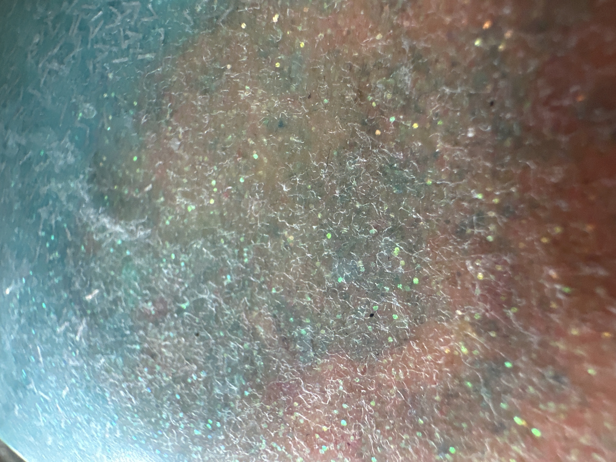 This is a close-up, abstract photograph of a surface with a gradient of colors. The top portion of the image is a bright, slightly textured teal, transitioning downwards into a peach or light orange hue. Scattered throughout the entire surface are numerous small, iridescent glitter particles that catch the light and shimmer in shades of green, gold, and pink. The surface itself appears to have a slightly uneven texture, with some fine, wispy lines or strands visible, possibly from a fibrous material or the way the material has cured. There are also a few tiny, dark specks that could be imperfections or debris. The image does not depict any identifiable objects, people, or a specific location in Belgrade, Serbia.