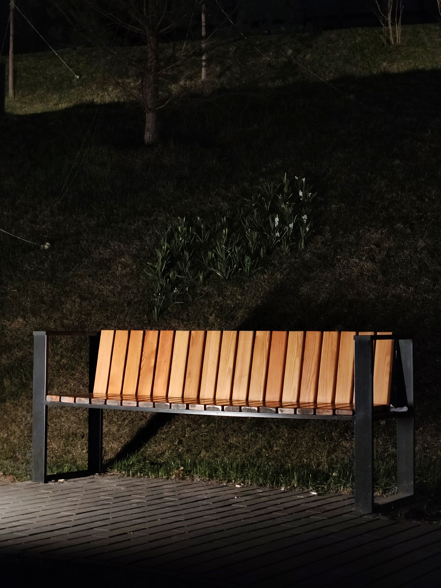 The image depicts a wooden bench with metal supports positioned on a paved area. Behind the bench is a grassy area with some sparse vegetation, including a few small flowering plants. The scene appears to be illuminated by artificial lighting, creating strong contrasts between light and shadow. The setting suggests a park or public space, possibly in Moscow, Russia, given the user's instruction. No people are visible in the image.