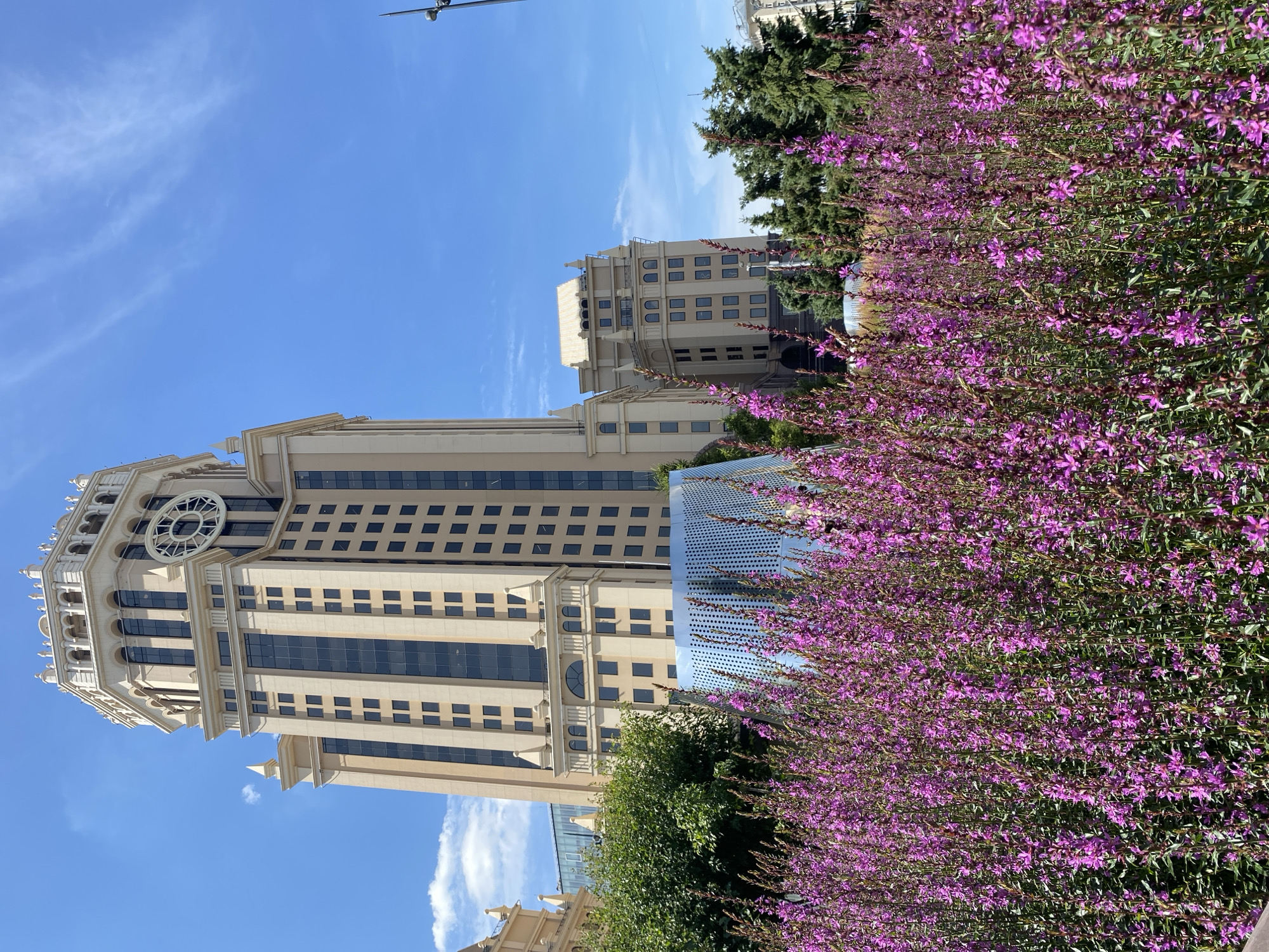 A low-angle, full outdoor shot captures a tall, cream-colored skyscraper with a large round clock face on its upper section. The building features numerous dark windows arranged in a grid pattern. In front of the skyscraper, a field of vibrant purple flowers stretches across the foreground. Behind the flowers, a modern, silver, curved structure with a perforated surface is visible, partially obscured by the vegetation. To the left of the skyscraper, lush green trees add depth to the scene. The sky above is a clear, bright blue with a few wispy white clouds, suggesting a sunny day. The overall atmosphere is urban, with a touch of nature provided by the flowers and trees.