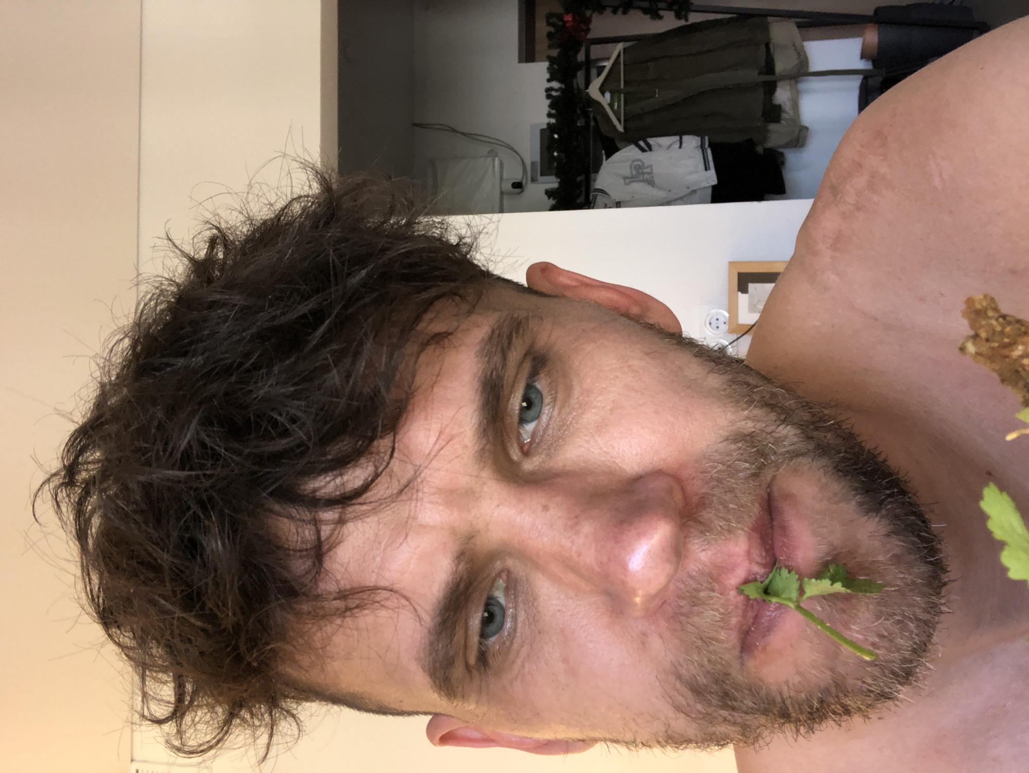 The image presents a close-up, angled portrait of an adult male in an indoor residential setting, specified to be located in Saint Petersburg, Russia. The man, positioned off-center, has disheveled dark brown hair with shorter sides and a prominent forelock. He has blue eyes, which are cast downwards and slightly to the viewer's right. A short, dark beard covers his chin, jawline, and cheeks. A green leafy herb, consistent with cilantro or parsley, is held between his lips, suggesting an act of eating. His upper body is bare, revealing a light skin tone with some visible healed scars or skin irregularities on his right shoulder and upper chest. At the bottom edge, a portion of a brown, textured food item is visible.
The background consists of light-colored walls. To the right, an open doorway or recessed area reveals a metal or white clothes rack. Hanging on this rack are several garments, including a white jacket with dark sleeves and an "LP" emblem on the left, and an olive green utility-style jacket on the right. Red and green festive garland or decorations are draped over the top of the clothes rack. On the far left of the background, an electrical outlet with two circular sockets and a grounding pin is visible on the wall, alongside a small, framed picture with a light brown border. The scene is brightly and evenly lit, indicative of ambient indoor lighting.