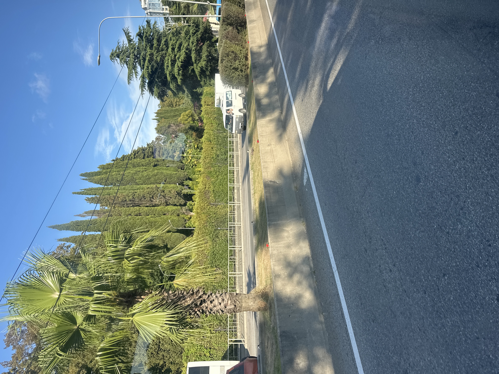A daytime exterior scene captures a view from a moving vehicle on a road in Sochi, Russia. The road is asphalt with a white line marking the lane. A concrete barrier separates the road from a grassy median. A tall palm tree stands prominently on the median, its fronds casting shadows on the barrier. Beyond the median, a white bus is partially visible, and further down the road, a white minivan is in motion. Two people are visible inside the minivan, with one waving. The background features a dense line of tall cypress trees and other greenery, suggesting a park or residential area. A street lamp is visible to the right of the cypress trees. The sky is clear and blue.