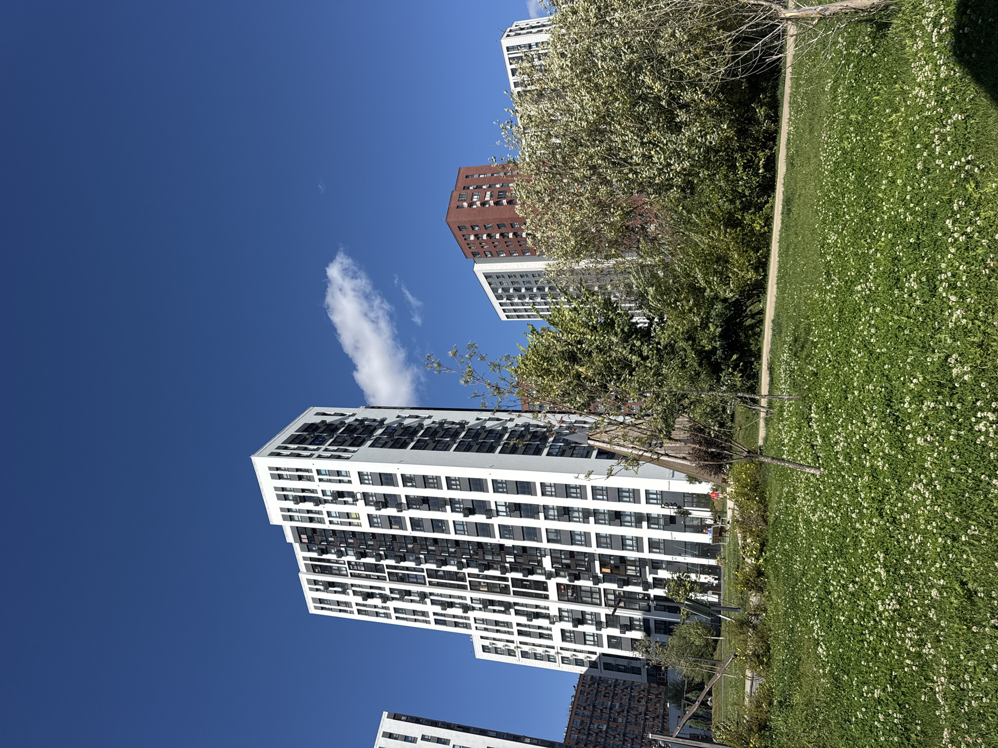 In Kommunarka, Russia, a modern residential complex is depicted under a clear blue sky with a few wispy clouds. In the foreground, a lush green lawn is dotted with white clover flowers. A pathway winds through the grass, and trees, some with white blossoms, are scattered throughout the scene. Several tall, contemporary apartment buildings dominate the background. The most prominent building is a striking white structure with black accents and numerous balconies, offset by a reddish-brown brick building. People are visible in the distance, including a person in an orange shirt walking and others seated on a bench. The overall impression is one of a well-maintained urban park adjacent to new housing developments.