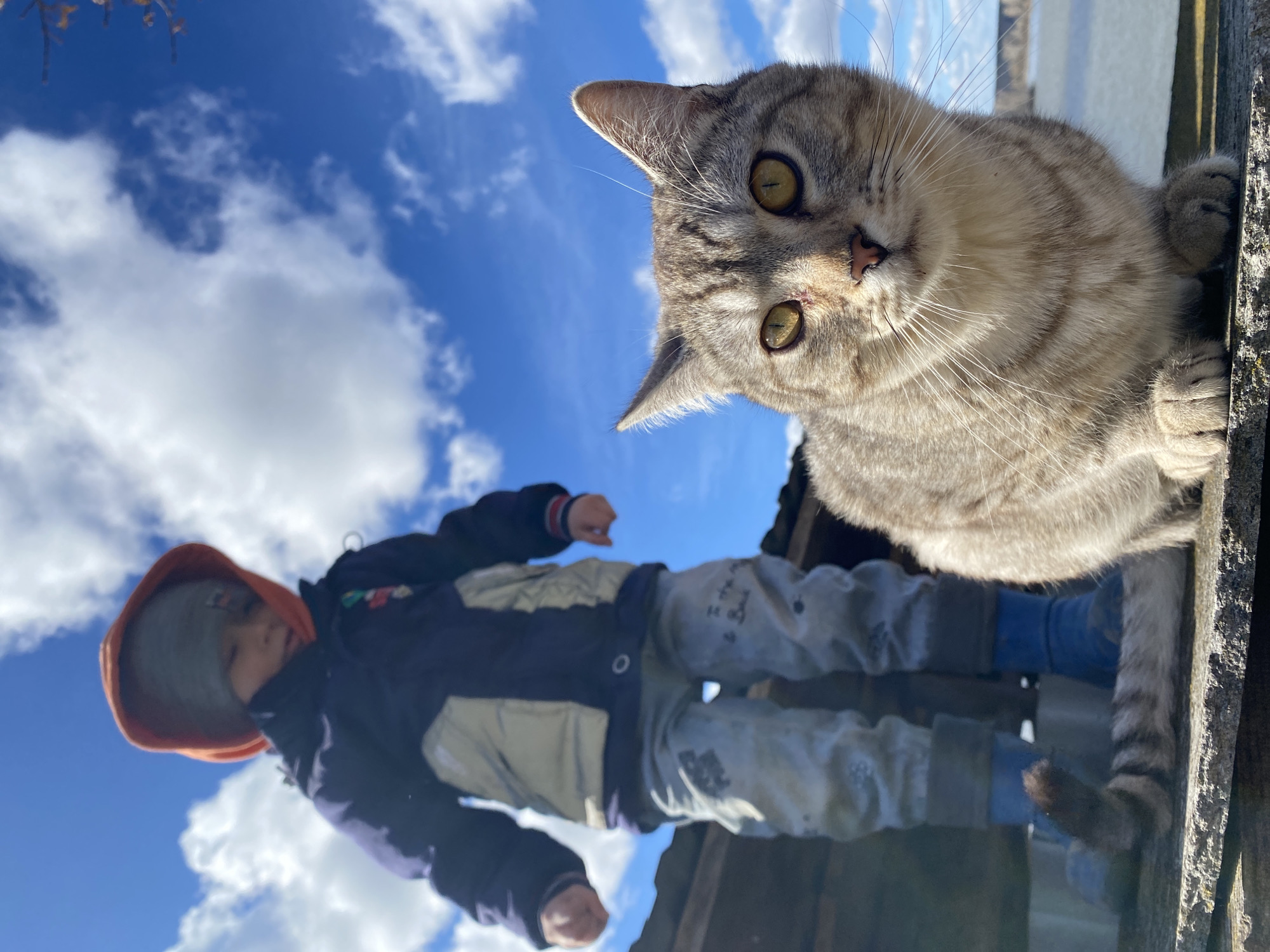 A low-angle, outdoor shot shows a gray tabby cat in the upper right, looking down with yellow eyes. Below it is a child wearing an orange hoodie and a blue and white winter jacket and blue pants. The background shows a bright blue sky with fluffy white clouds. The scene appears to be taken in Olkhovka, Russia, as requested, although there is no definitive visual confirmation of location.