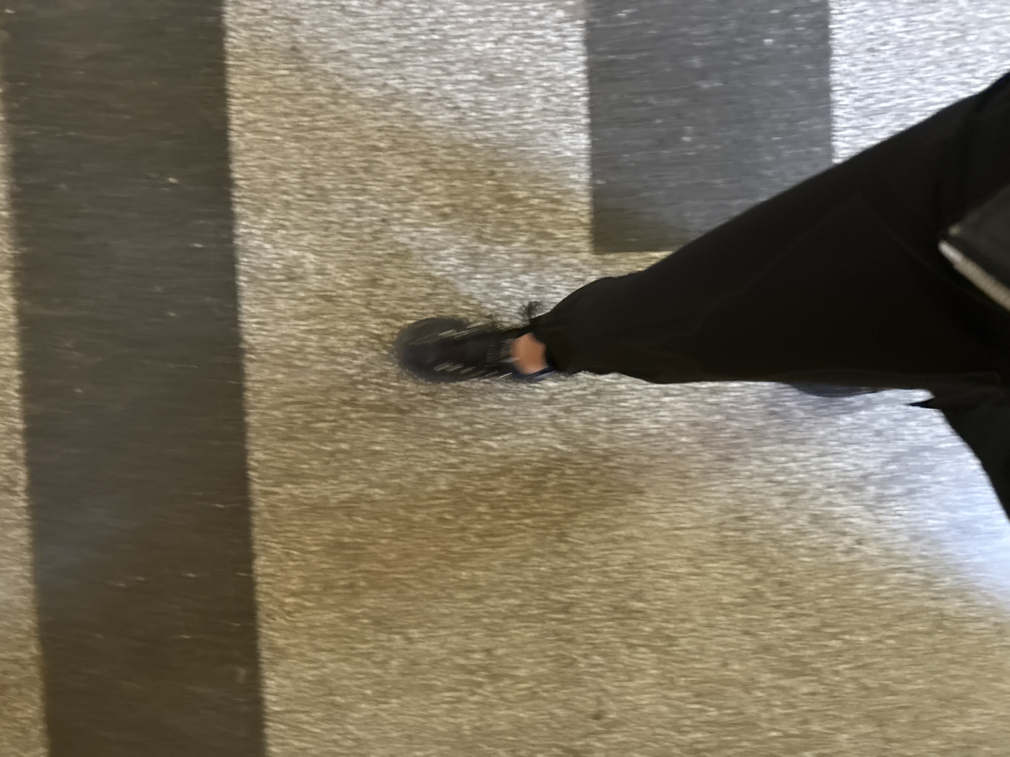 A high-angle, close-up shot shows a person stepping onto a crosswalk. The person's left foot, clad in a dark-colored shoe, is partially visible. They are wearing black pants. The crosswalk consists of alternating dark and light gray stripes. The background is a blurred gray concrete surface, potentially indicating a street or sidewalk. Given the mention of Sofia, Bulgaria, without additional information, it is impossible to pinpoint the exact location of this crosswalk within the city.