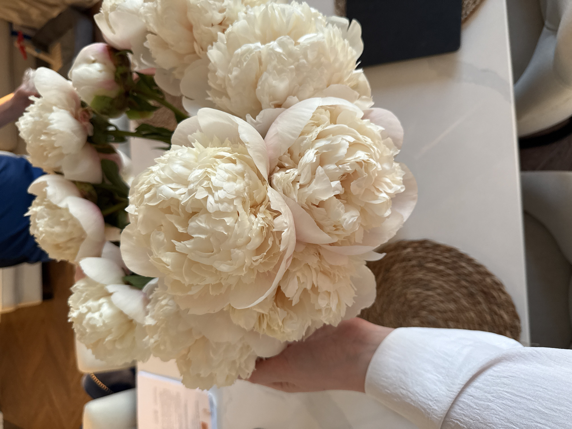 This image, taken in the city of Moscow, Russia, depicts a close-up, high-angle view of a person's left hand and forearm holding a large bouquet of peonies. The forearm is covered by a white, long-sleeved shirt with a subtly textured fabric, and the hand supports the base of the flower arrangement. The bouquet consists of numerous fully bloomed and partially opened peonies, primarily cream or very pale pink in color, characterized by their dense, ruffled petals. Several developing buds in the arrangement show distinct pinkish-green tints. The flowers and hand are positioned over a light-colored (likely white) tabletop. A round, woven brown placemat or coaster is visible on the table beneath the bouquet. The background is softly blurred, revealing a person wearing a blue garment, with an arm and part of their torso visible in the upper portion of the frame. Additional blurred elements in the background include light-colored furniture, possibly chairs or sofas, and a wooden floor. The scene is illuminated by soft, natural light, creating gentle shadows and highlights across the subjects.