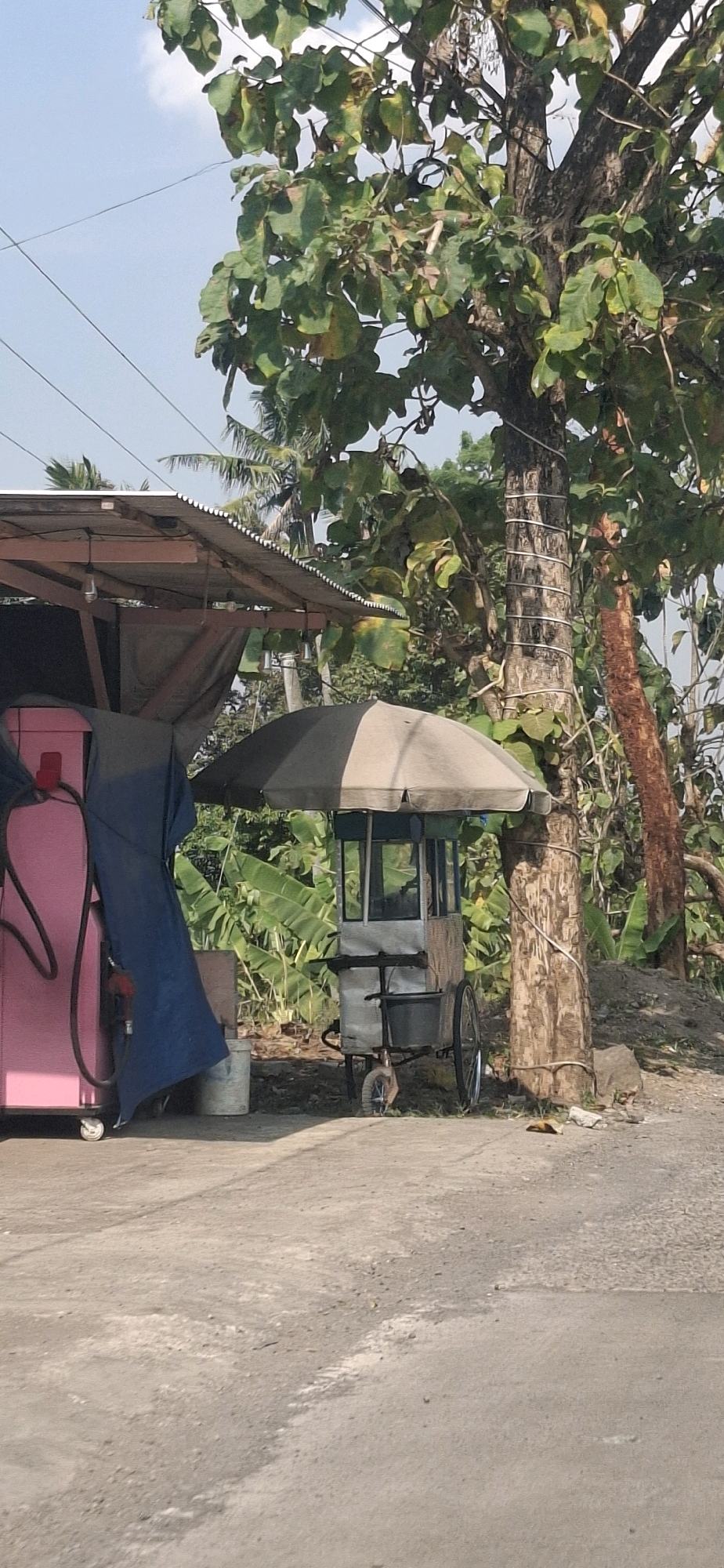 A street scene in Cibinong Hilir, Indonesia, features a mobile food cart with a beige and gray striped umbrella in front of a large tree. To the left of the cart is a pink structure, possibly a vending machine or gas pump, covered partly by a blue tarp. The food cart has a glass display case and appears to be made of metal and wood. The ground is paved concrete, and the background shows lush vegetation, including banana trees and other leafy plants. Overhead power lines are visible against a clear sky. The overall impression is of an outdoor commercial area on a bright day.