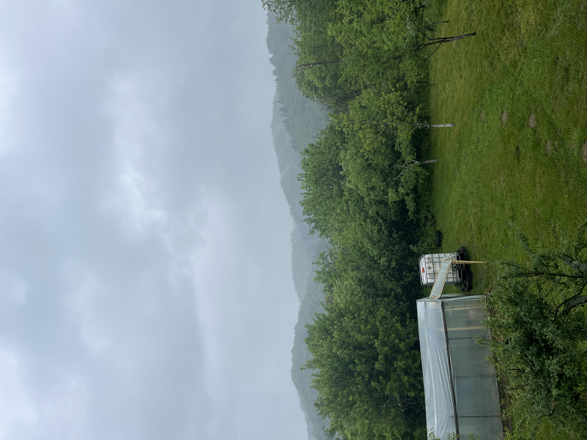 The scene depicts a rural landscape, potentially in the vicinity of Shopite, Bulgaria, under overcast, possibly rainy conditions. A hillside is visible in the background, shrouded in mist. In the foreground, there is a greenhouse constructed of plastic sheeting and a metal frame. Adjacent to the greenhouse stands a large, white water tank mounted on a trailer. Green grass and foliage are present throughout the scene.
