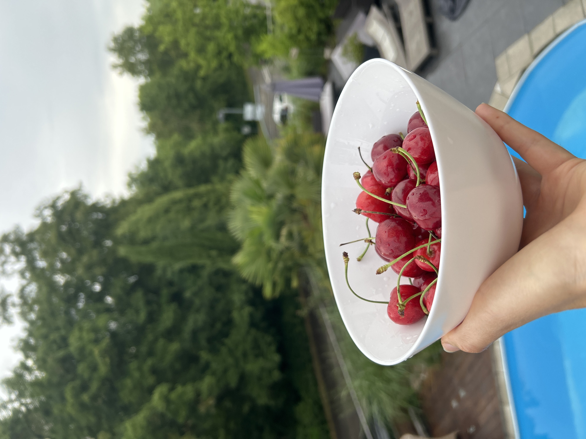 A hand holds a white bowl filled with ripe red cherries. The bowl is positioned in the foreground, with a bright blue swimming pool visible below and to the left. In the background, a lush green garden with trees and plants is visible, along with some outdoor furniture and a grey umbrella. The sky is overcast.