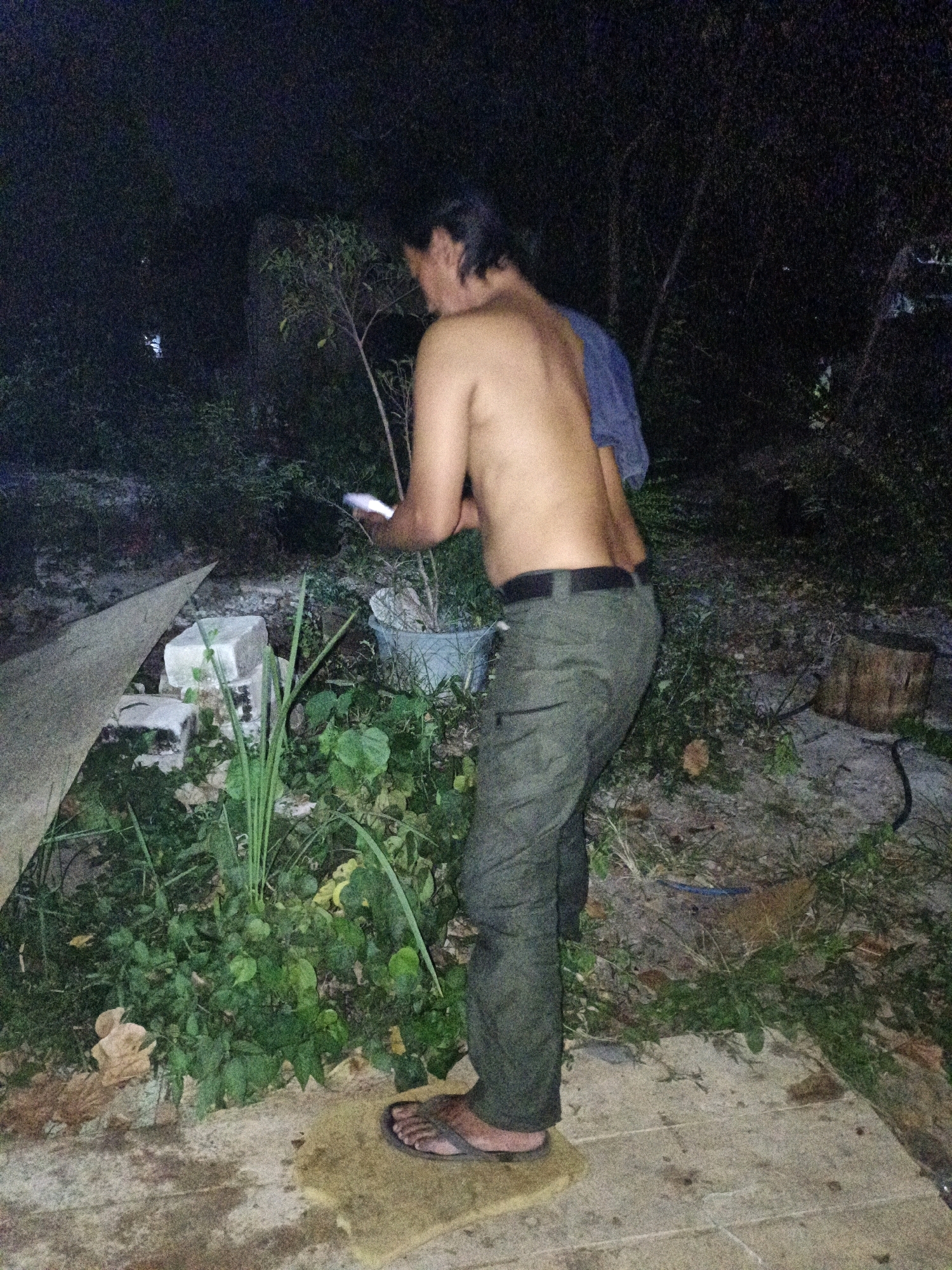 A shirtless person with dark hair is standing in what appears to be a backyard in Cikal, Indonesia, at night. The person is wearing green pants and flip-flops, and holding a white object, possibly a phone, in their right hand. The area is overgrown with lush vegetation, including tall grasses and leafy plants. Several objects are visible in the background, including a large piece of wood, what looks like a stump, and some stacked white blocks. There's also a blue bucket with a plant inside. The ground is uneven, covered with dirt, leaves, and what looks like a mat or rug underneath the person's feet. The lighting suggests artificial illumination from an unknown source.