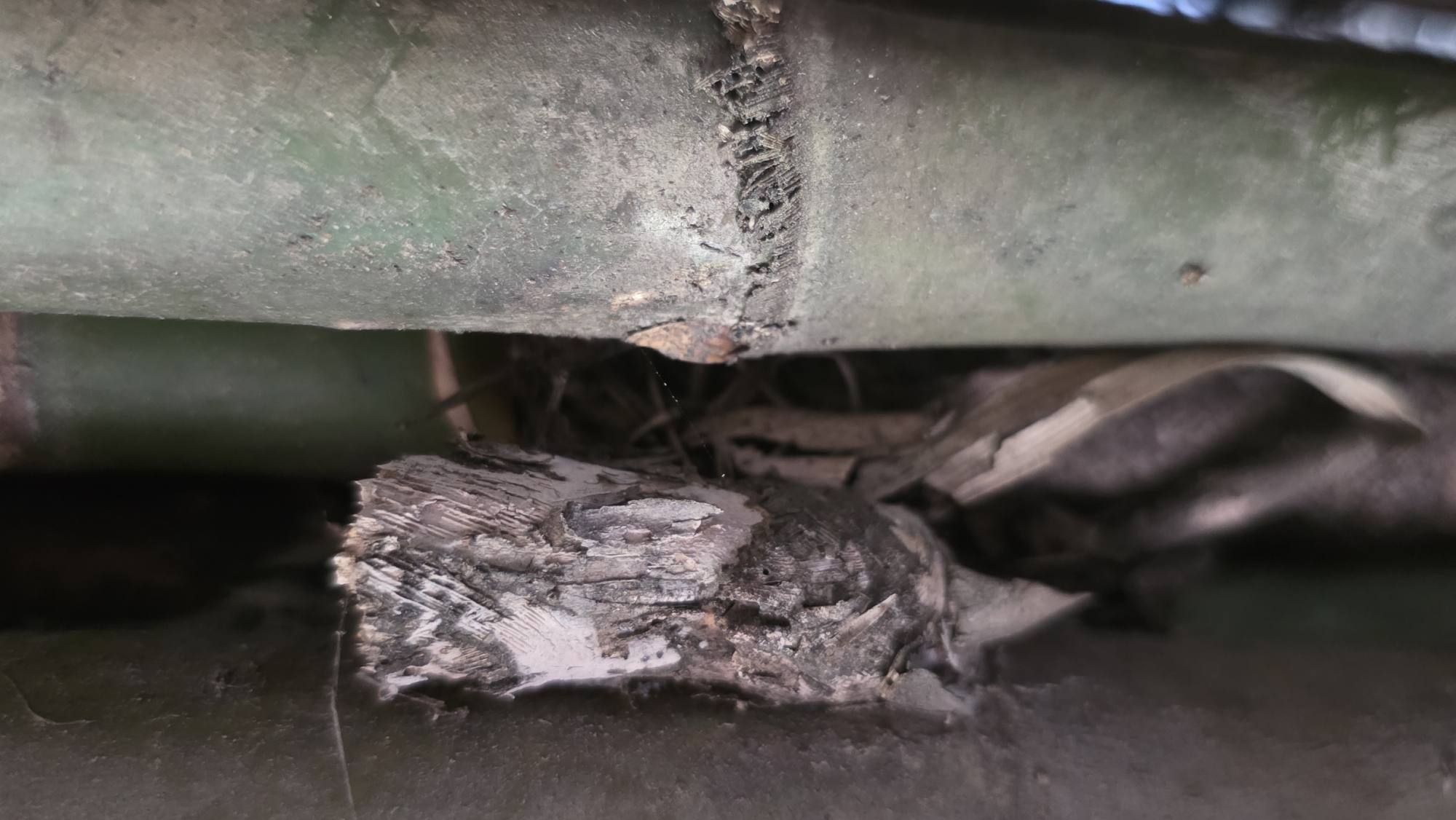 A close-up shot shows two green metal pipes running horizontally near the top of the frame. The top pipe has an area of apparent corrosion or degradation, visible as a dark line along its surface. Below the pipes, there is a textured object, appearing to be damaged or decaying wood, situated between the pipes and a green, possibly metal, surface below. Debris, appearing as leaves or other organic material, is also present in the space between the pipes and the wooden object. The image lacks any indication of location and no people are visible. The precise nature of the materials and the cause of the degradation are indeterminate without further information or analysis.