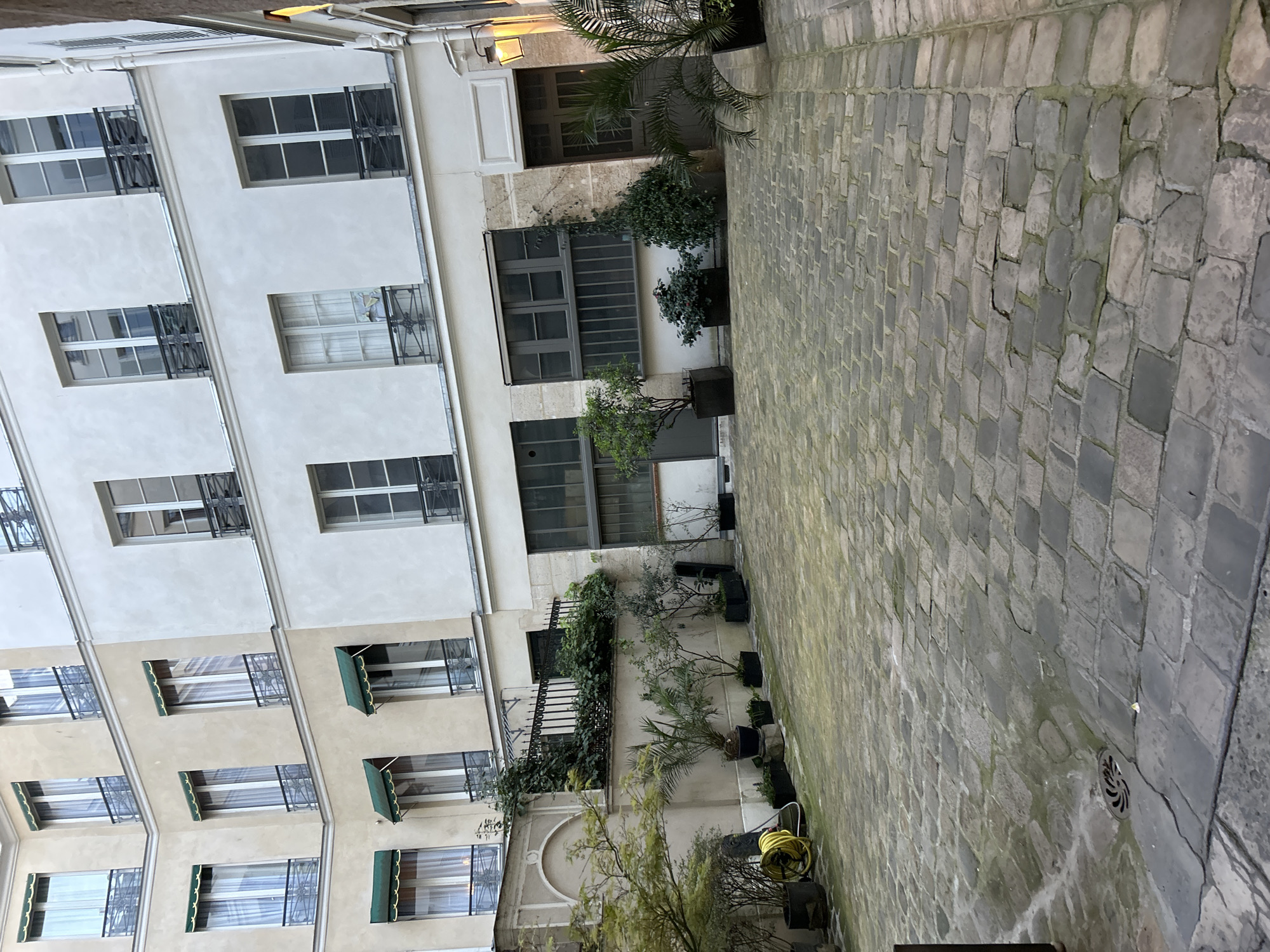A daytime shot shows a courtyard with a cobblestone surface. The space is flanked by buildings with multiple stories, featuring windows with varying designs, some with green awnings. Plants and small trees in pots are positioned along the building's base and on balconies. A yellow hose is visible among the foliage. The scene appears quiet and lacks human presence.