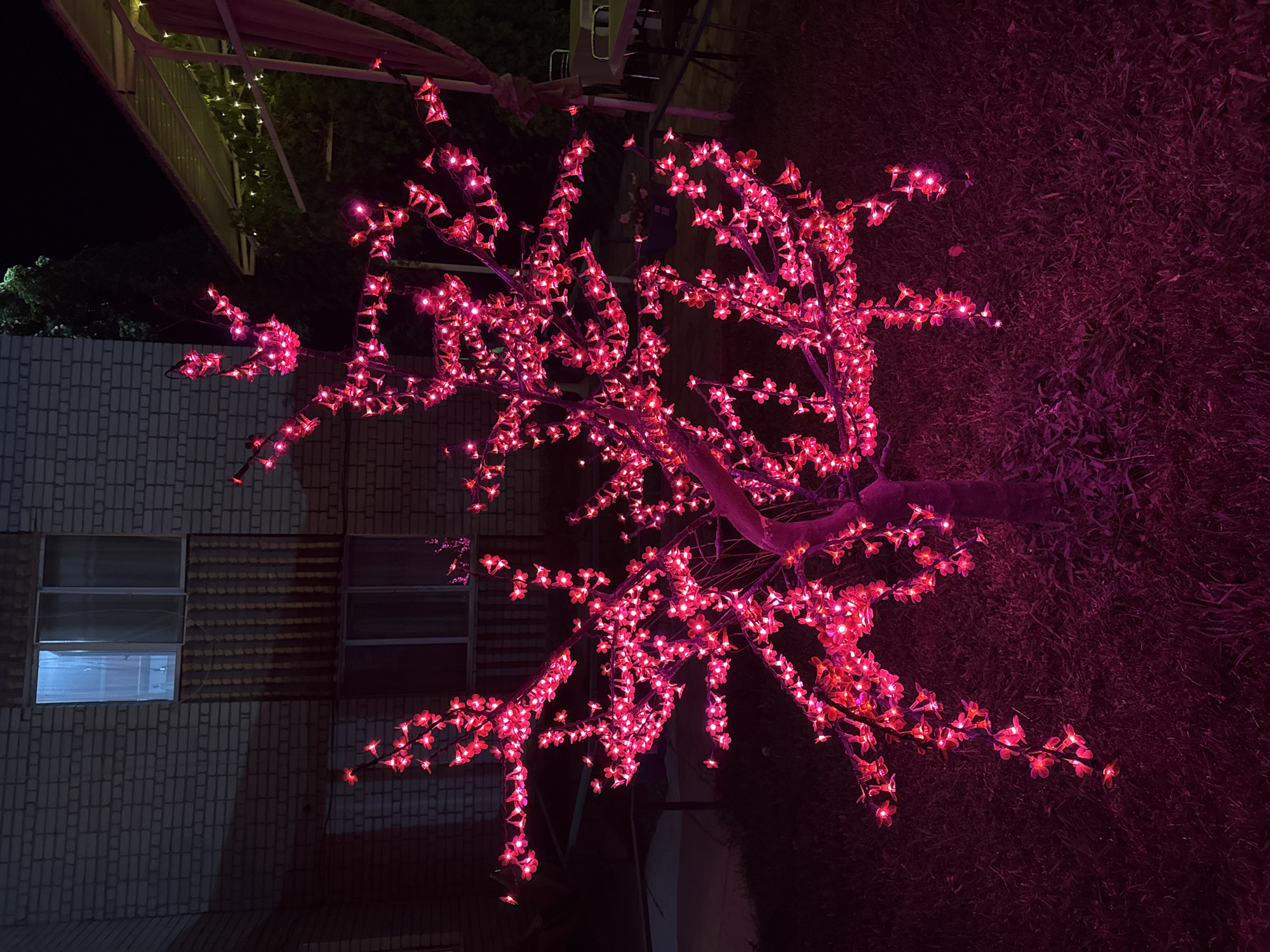 A dimly lit outdoor scene at night features a decorative tree adorned with numerous small, bright pink LED lights. The tree has thin branches and a visible trunk, and it is situated on a patch of grass. In the background, a brick building with windows and a balcony is visible. To the right, there is a structure with a roof, suggesting a patio or outdoor seating area, and some tables and chairs are faintly discernible. The overall impression is one of a festive or decorative outdoor space, likely in a residential or commercial area. The specific location in Urdzhar, Kazakhstan, is indicated by the prompt, but is not visually verifiable from the image itself. There are no people present in the frame.