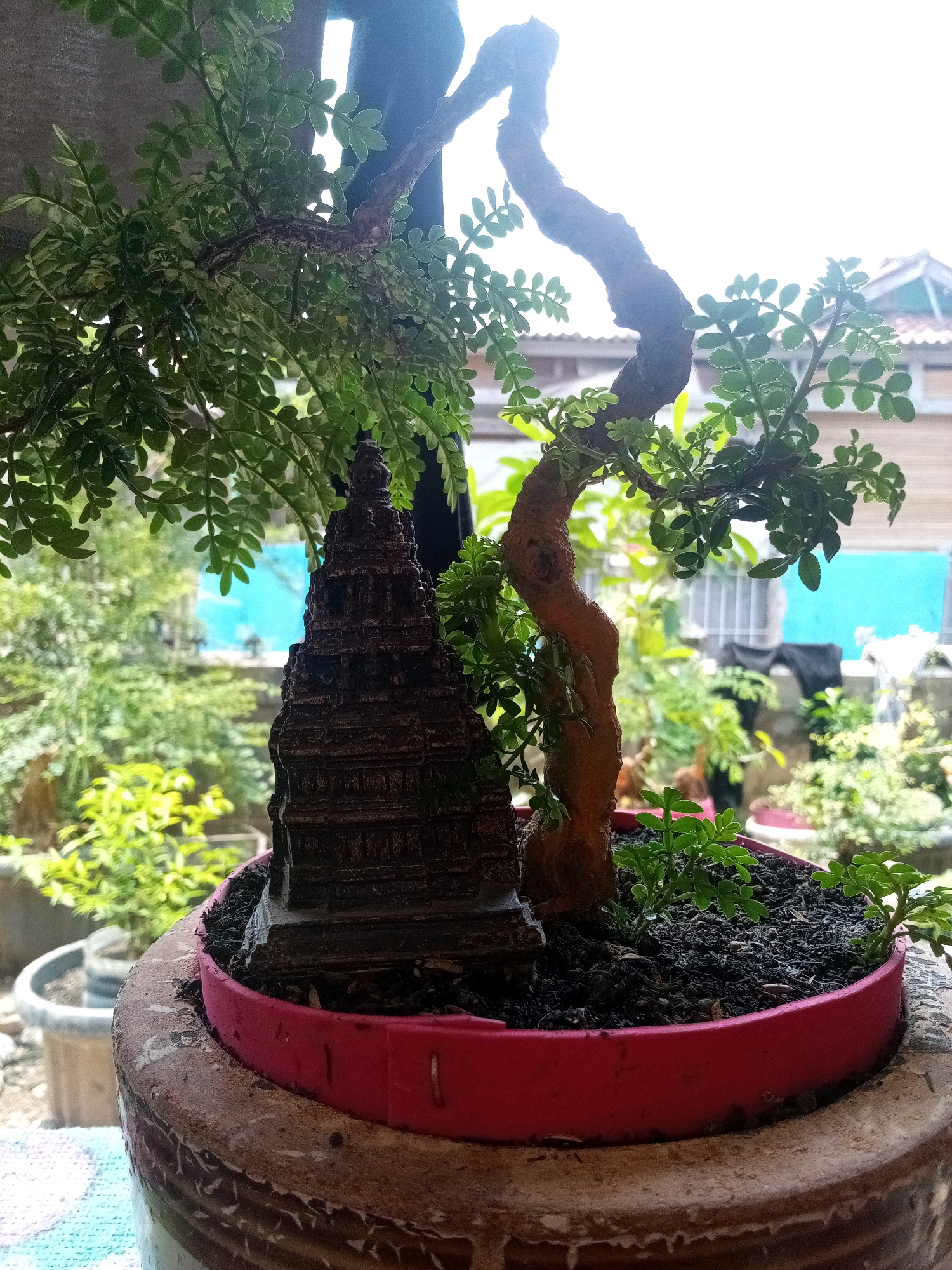 The image depicts a bonsai tree with a small, tiered, dark brown temple-like ornament placed in its pot. The bonsai has a twisted brown trunk and green leaves. The pot itself is a rough, textured beige pot containing a vibrant pink inner liner. The background shows a somewhat blurred view of other plants and buildings, suggesting an outdoor or semi-outdoor setting. The lighting indicates it is daytime, with sunlight filtering through the leaves. The scene appears to be a close-up, static shot of this decorative arrangement. The image does not contain any people, animals, or specific actions. The location of Karawang, Indonesia, is not visually evident within the image itself.